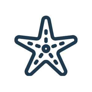 An icon of a starfish.