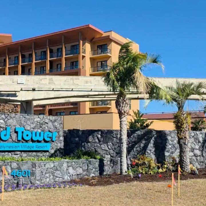 ✨️Disney - but done completely differently.

Anyone can book a Disney vacation... the difference?

Having someone who knows how to make the most of your time, your budget, and your experience. 

When you book with Ohana Legacy Travel, you're not spen