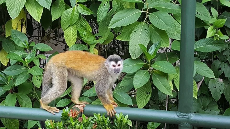 Costa Rica