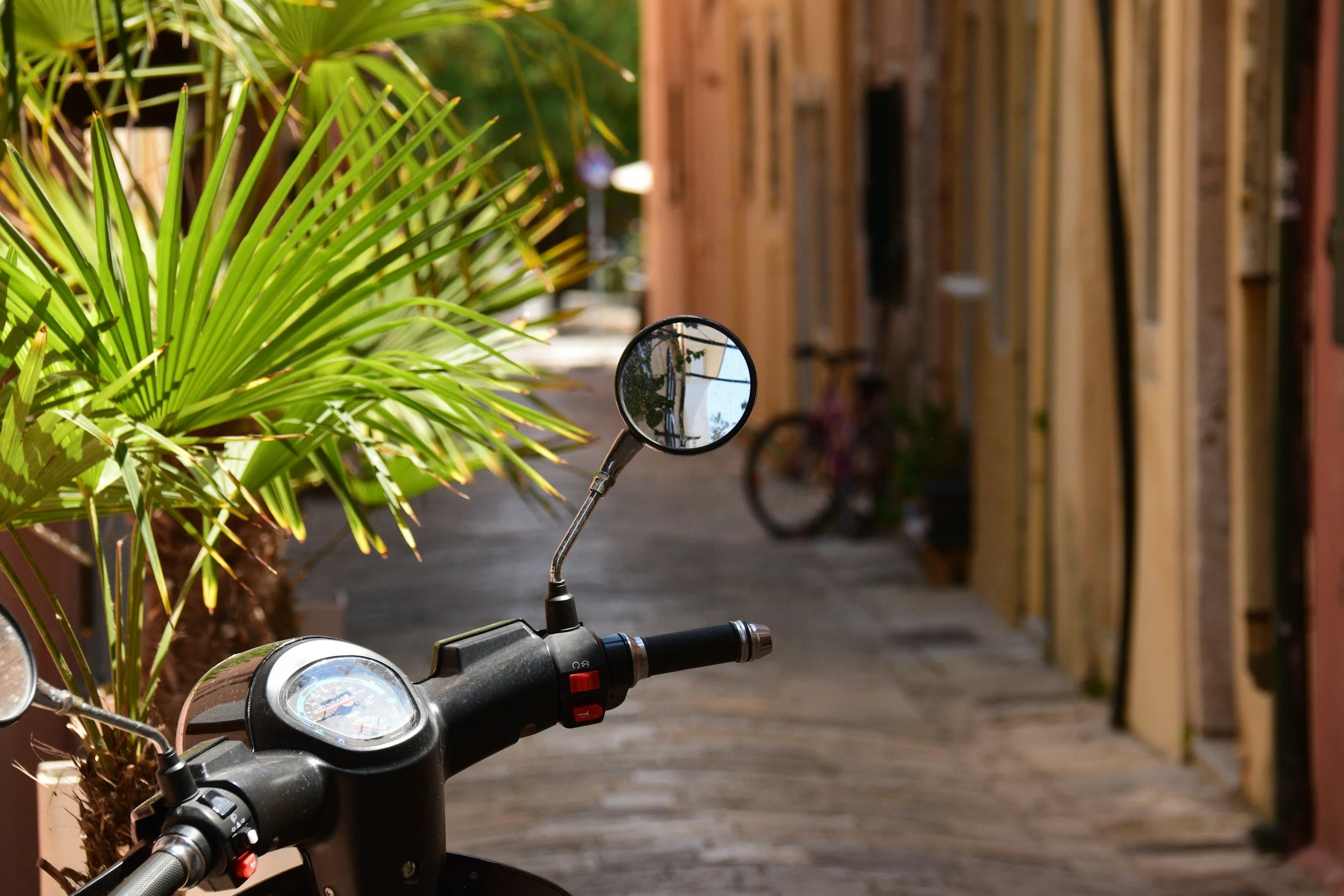 A scooter parked on a wooden pathway beside a green palm plant, with a mirror reflecting buildings and a bicycle in the background.