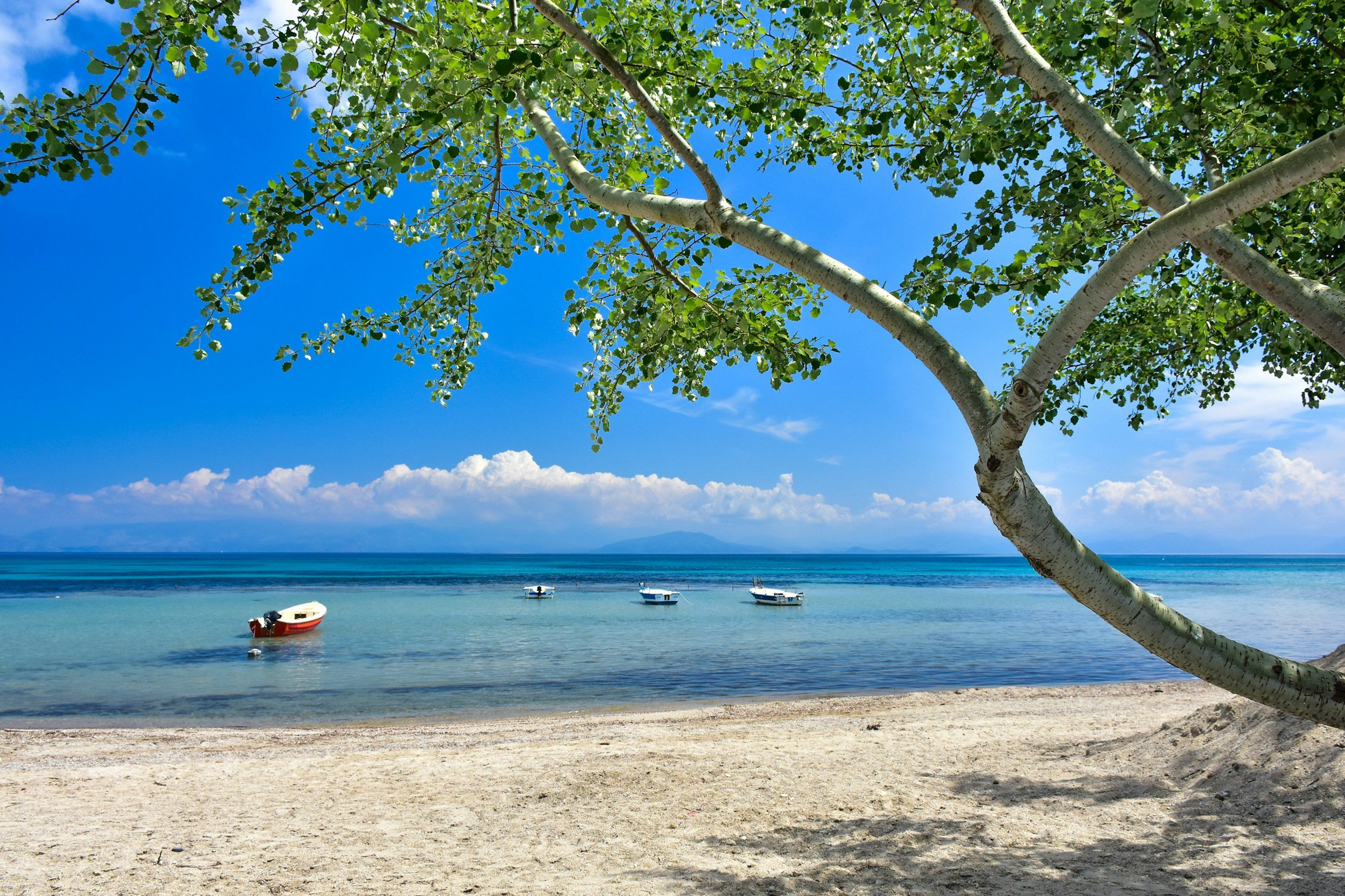 Where to Stay in Corfu: Best Areas for Every Type of Holiday