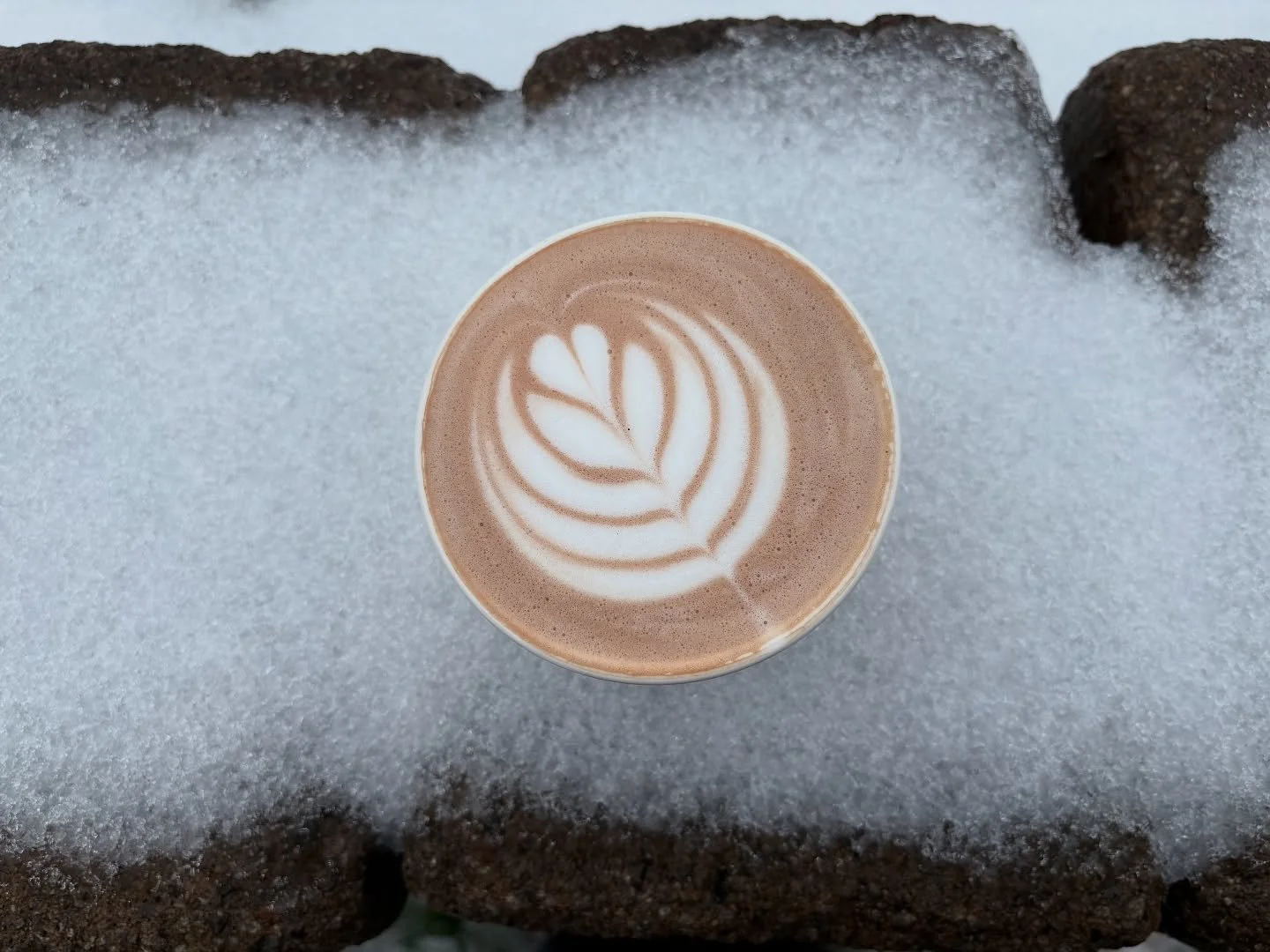 Exceptionnellement, le Louisa ferme ses portes &agrave; 14h, ce samedi 29 novembre. On accueille notre &eacute;quipe en soir&eacute;e pour notre traditionnel &laquo;&nbsp;party de No&euml;l&nbsp;&raquo; 🎅🏼 Merci pour votre compr&eacute;hension! ✨
