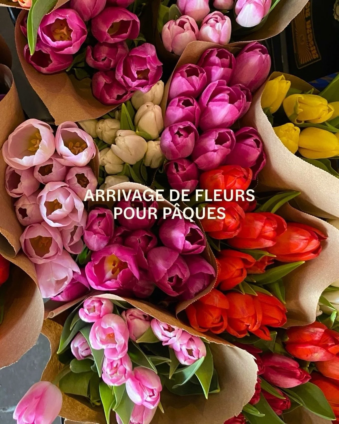 Nous aurons des fleurs fra&icirc;ches pour le week-end de P&acirc;ques! Livraison vendredi et samedi matin 🌼🌷

@violette.fleuriste