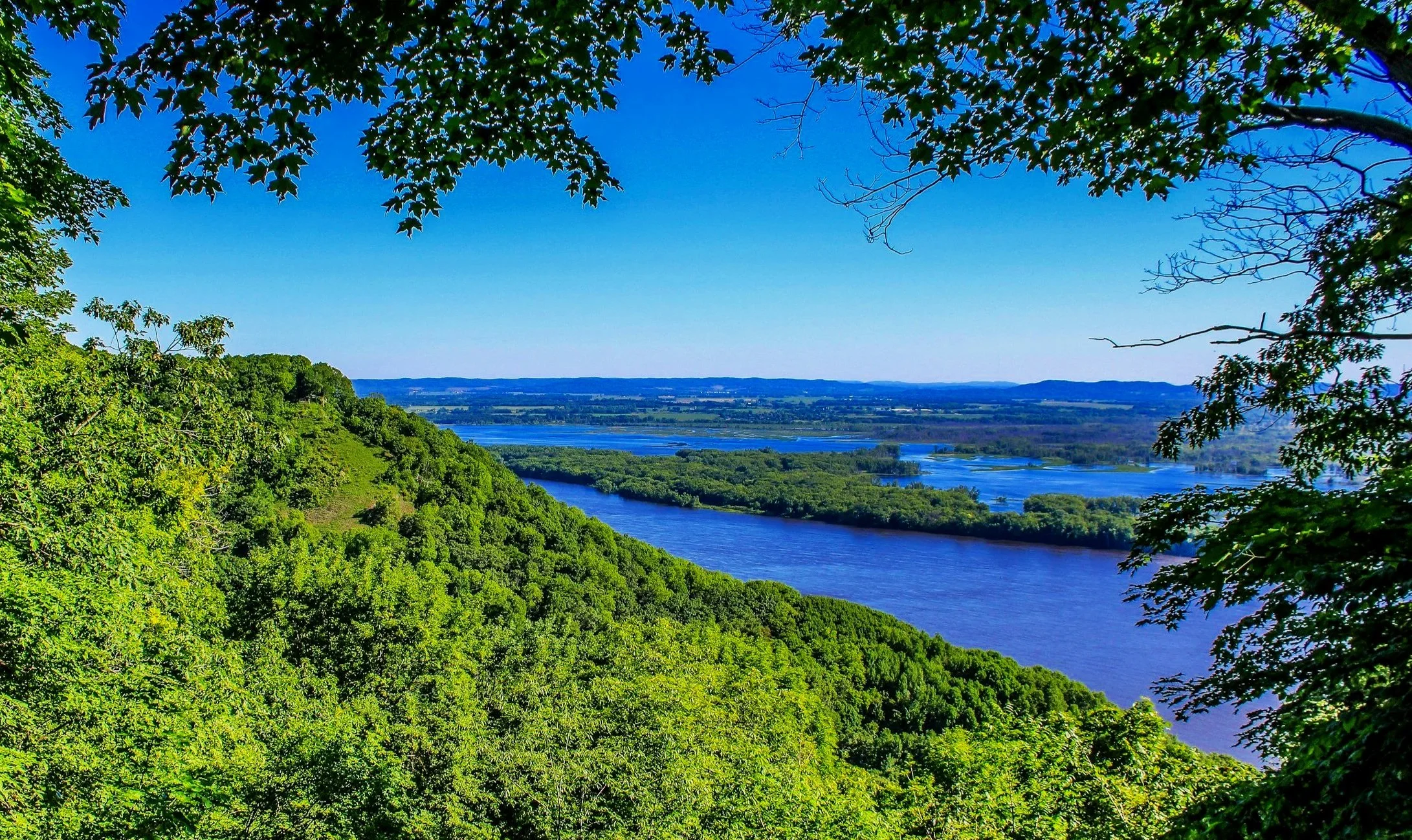 Large river valley view from a wooded bluff viewpoint.