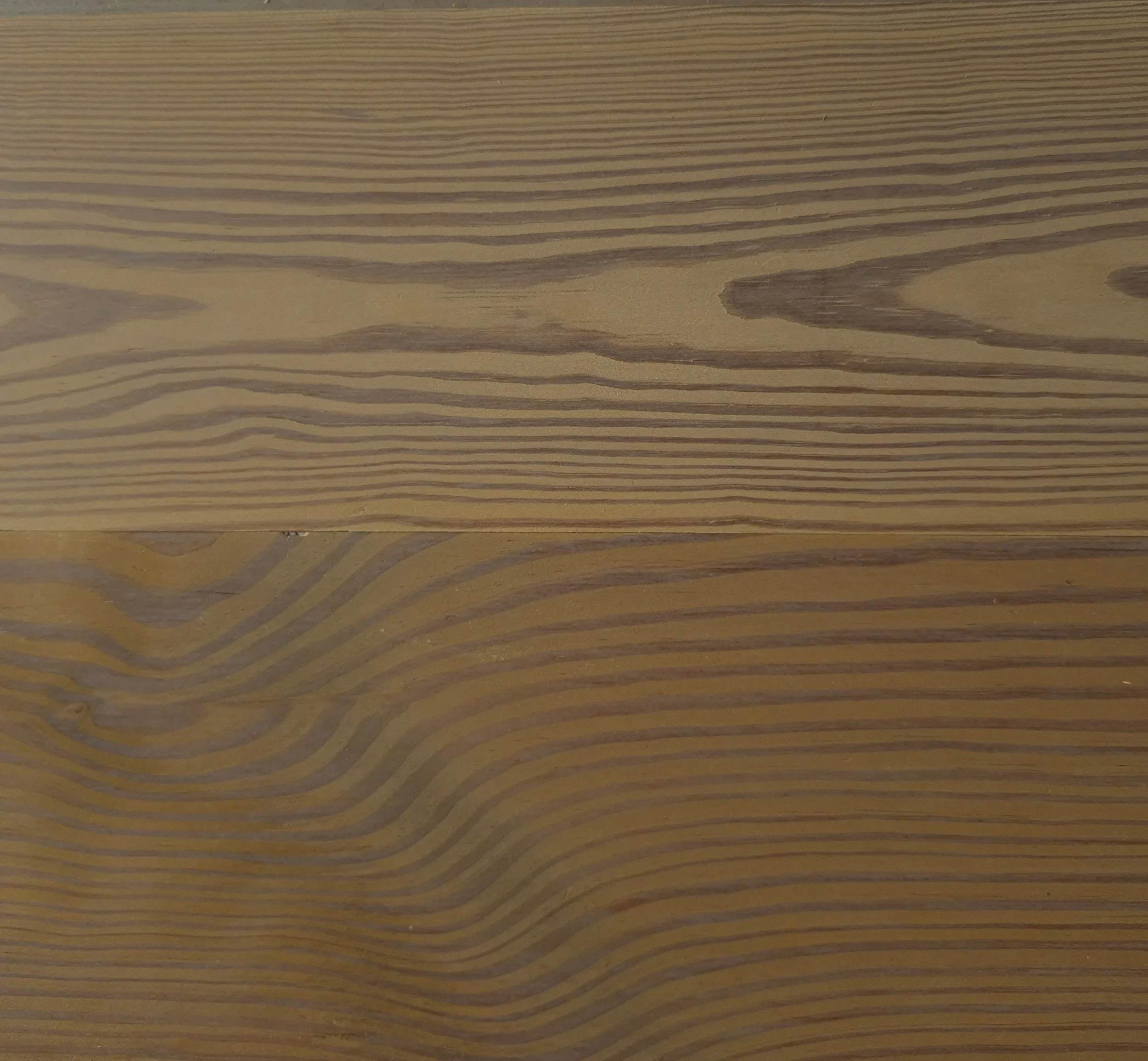 Fallen Leaves | TM Pine