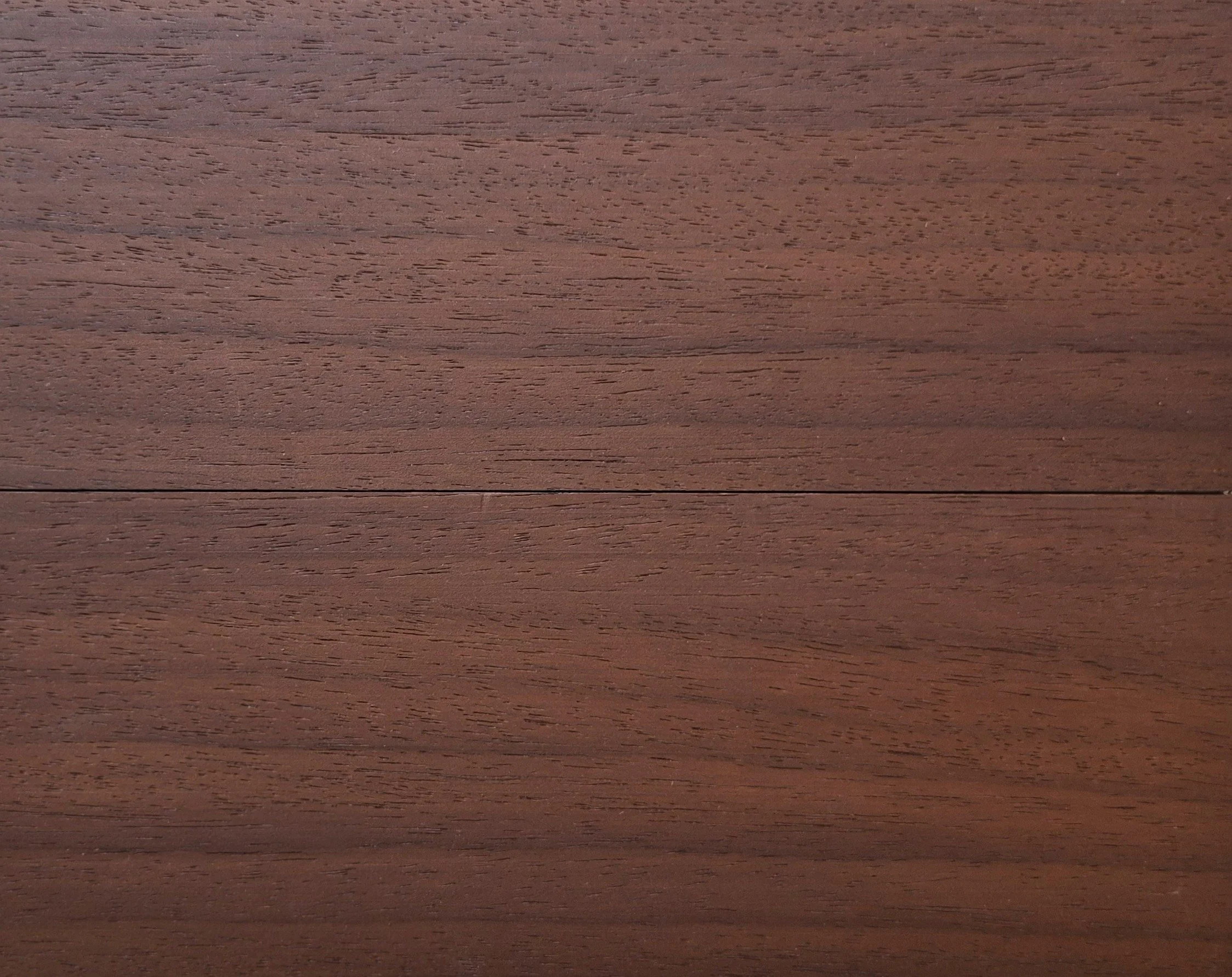 Ayous | Spiced Cider