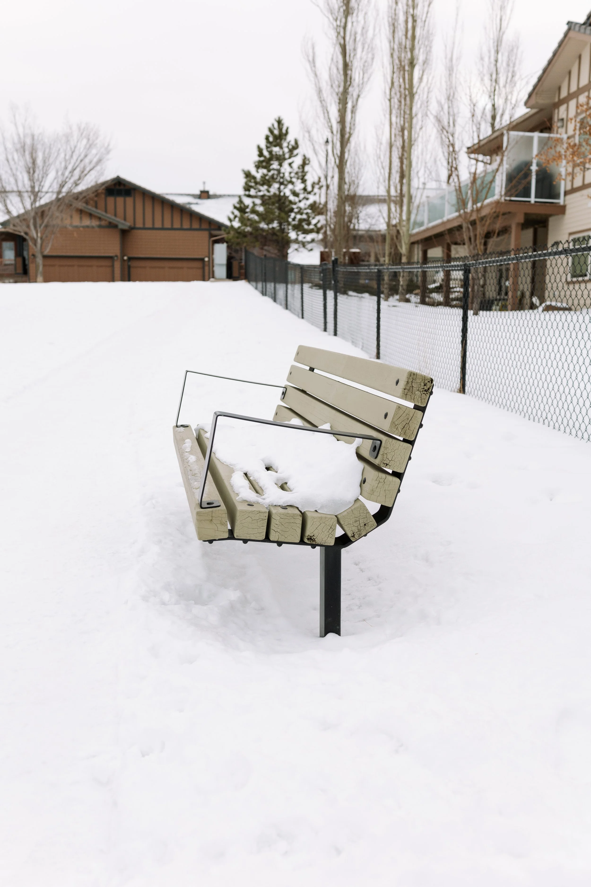 A snow-covered park bench in a snowy yard with houses and trees in the background.