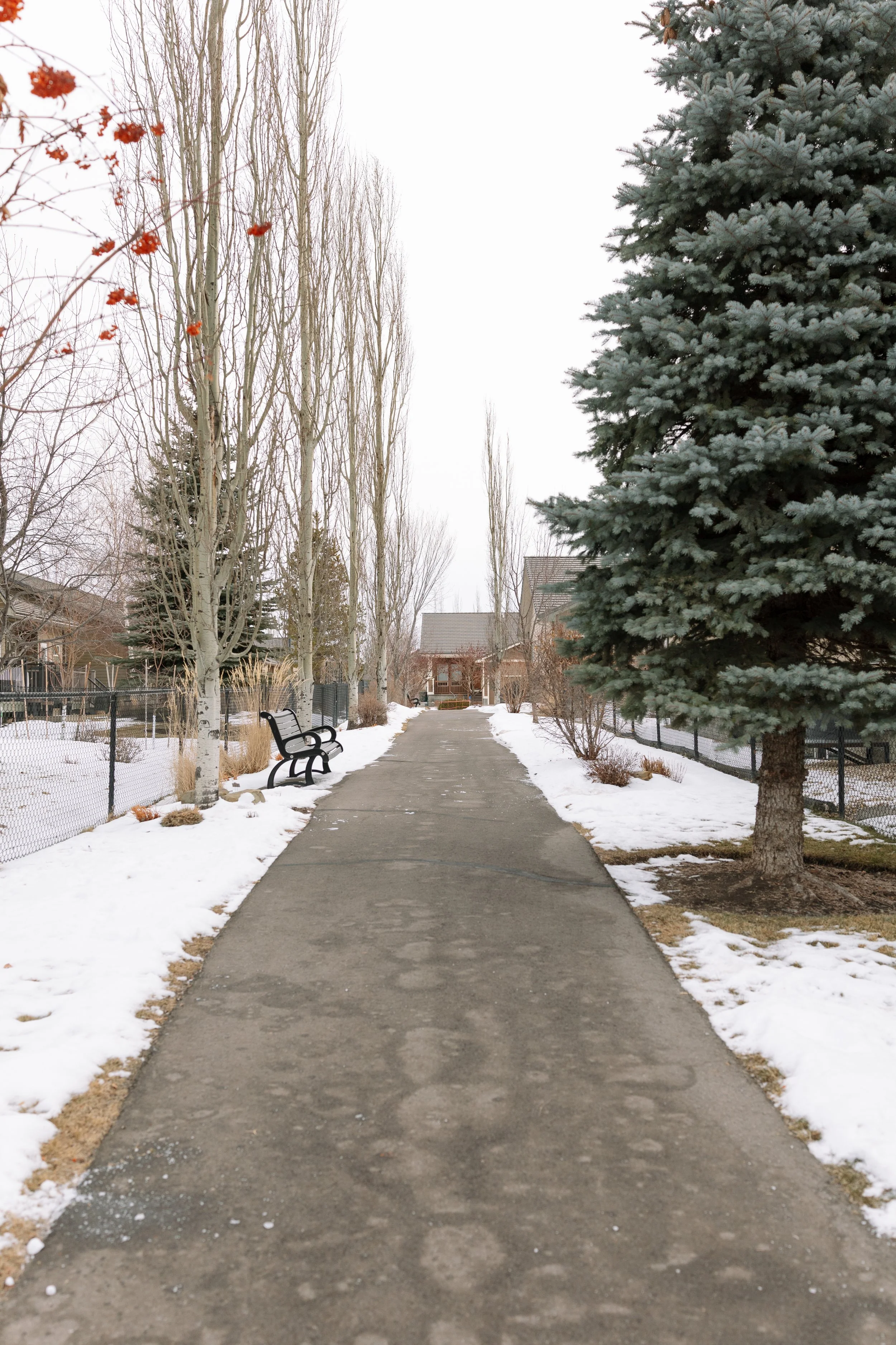 Snow-covered pathway in a park with trees on both sides, benches, and a house in the background.
