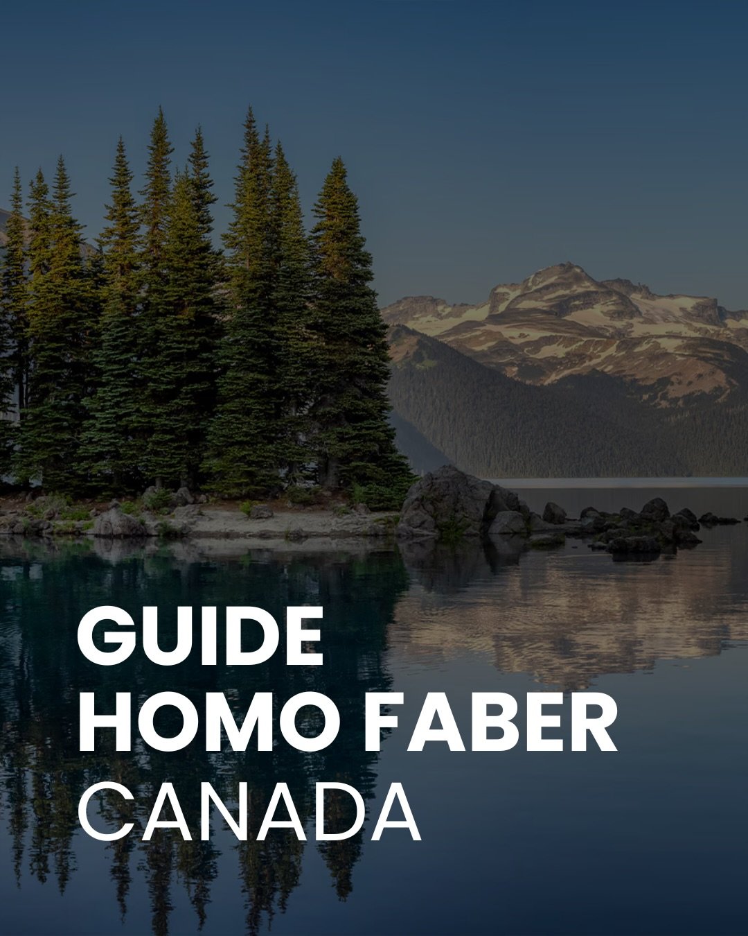 Shannon Stride Cover Image Online Writing Craft Homo Faber Canada