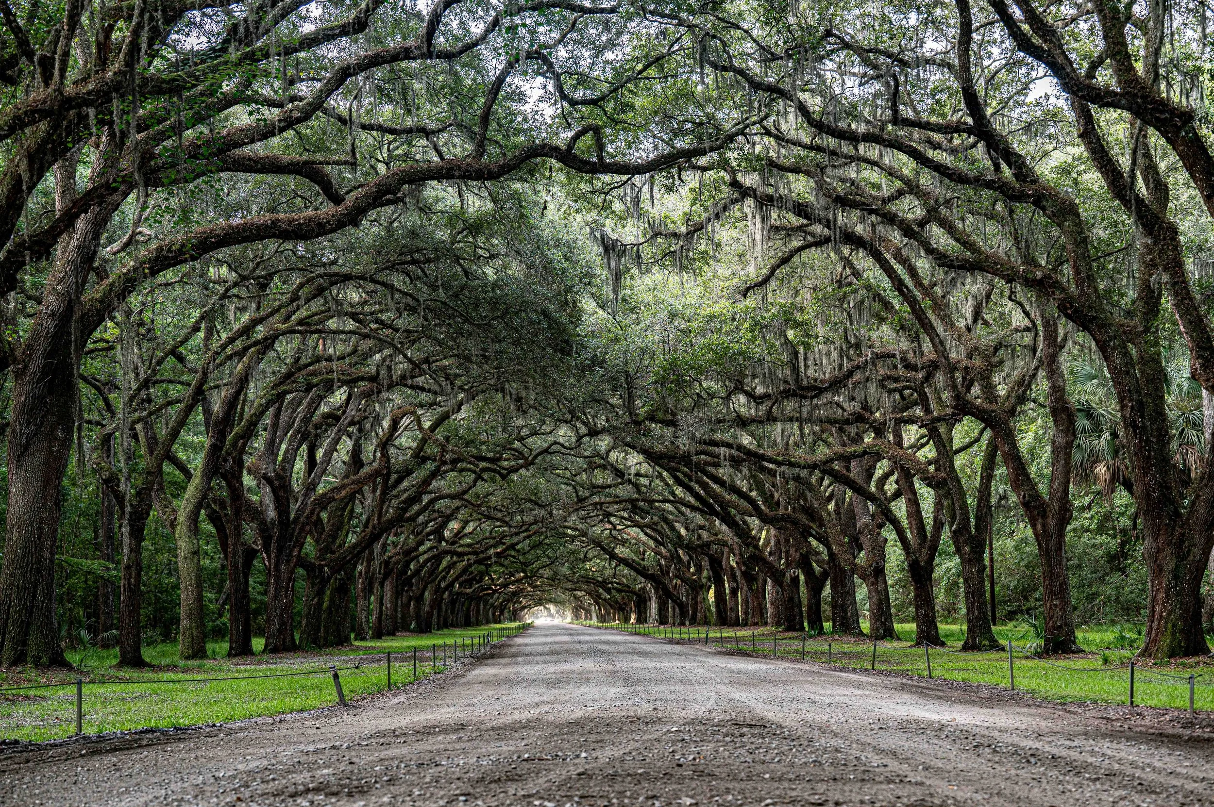 Celebrating a New Chapter: Explore Our Fresh Website and Share Your Thoughts!