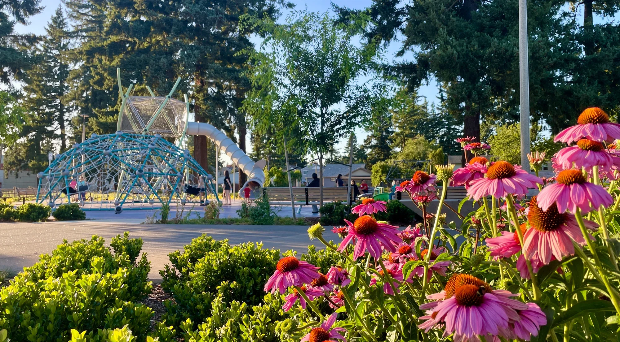 Mill Park - Playground Flowers (landscape).webp