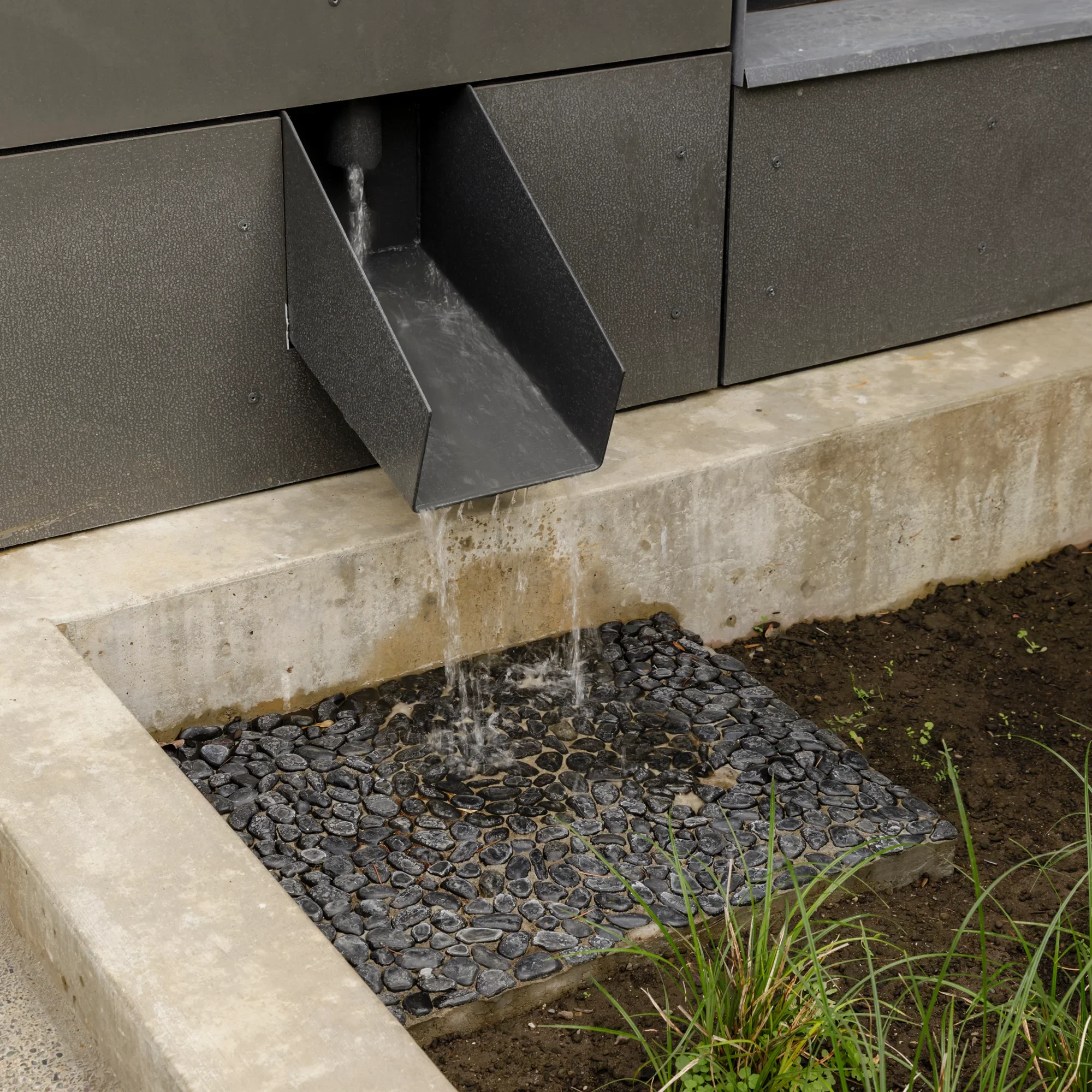 School for the Blind - Scupper.webp