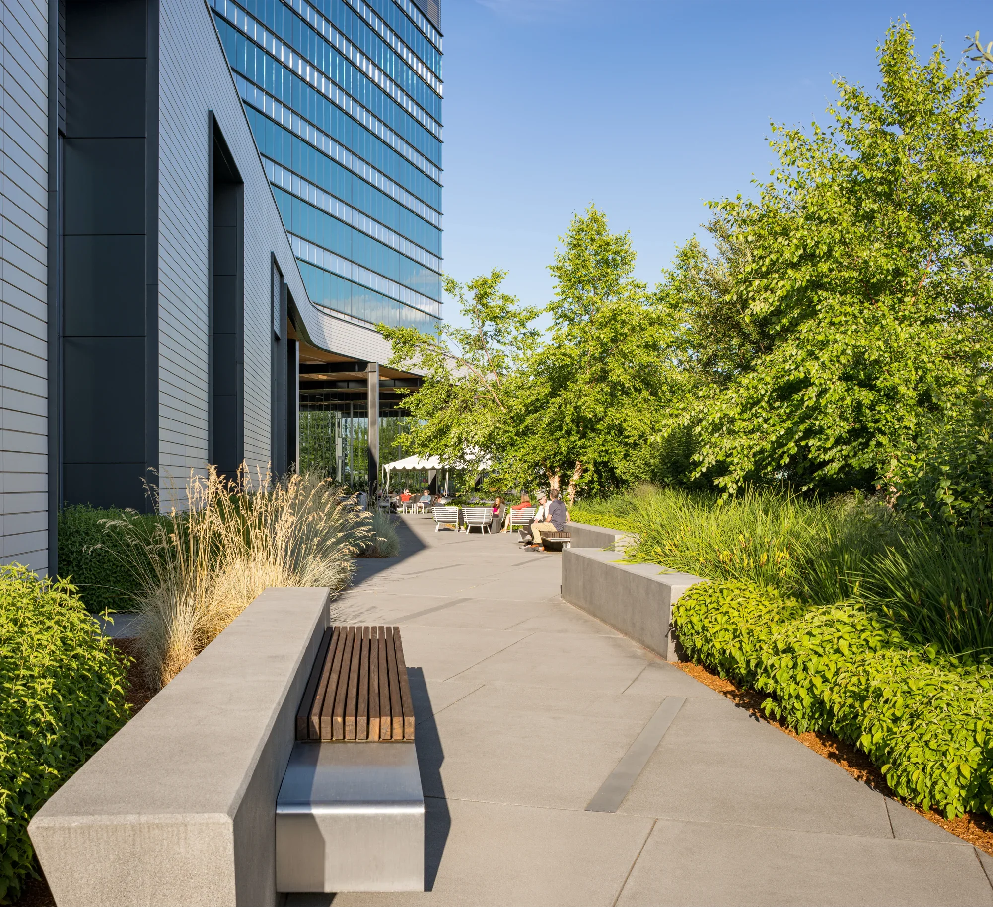 Daimler - Path with Bench.webp