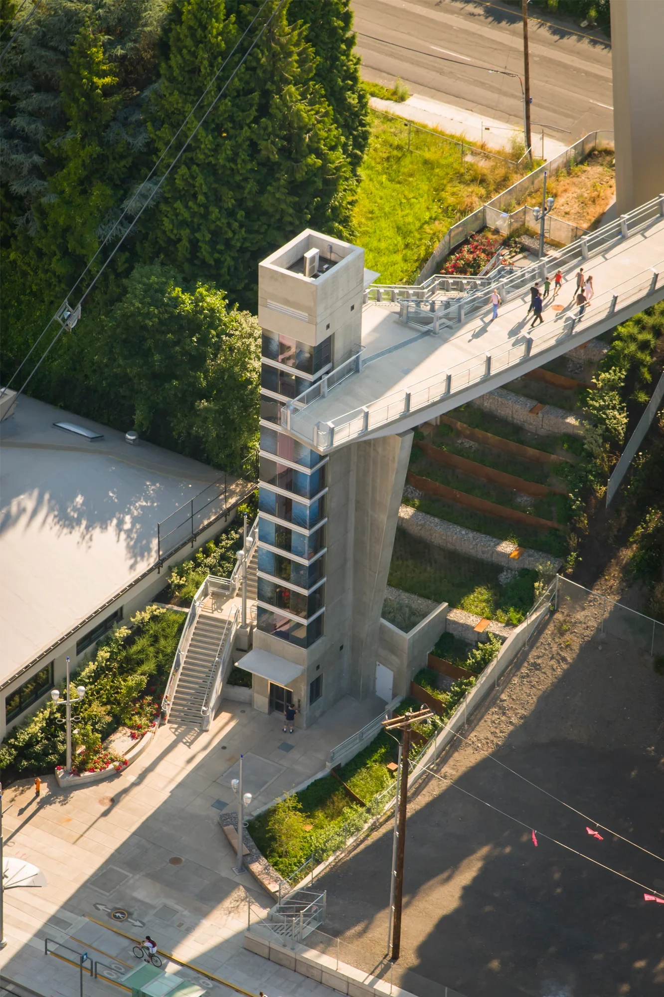 Darlene Hooley Ped Bridge - Aerial_10.webp