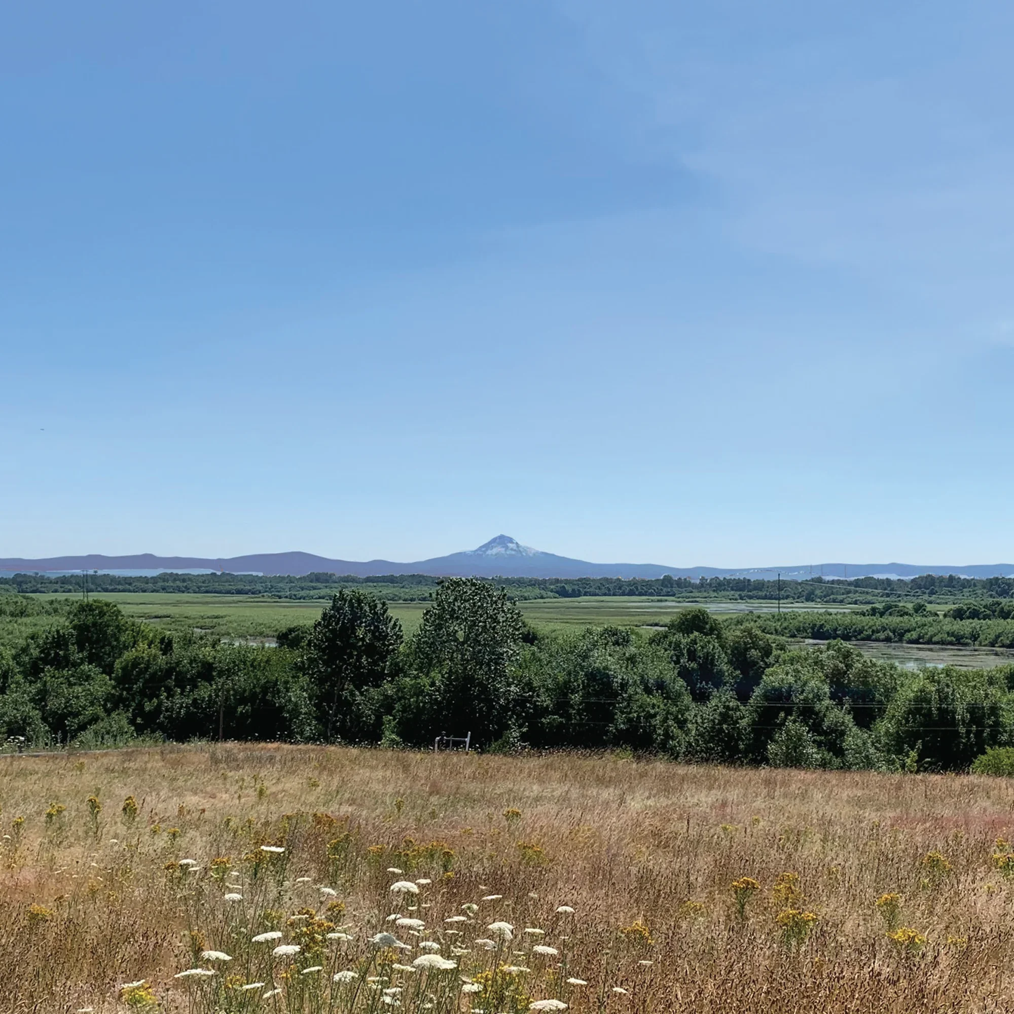 20220415_SPT 60% Graphics-1-2.webp