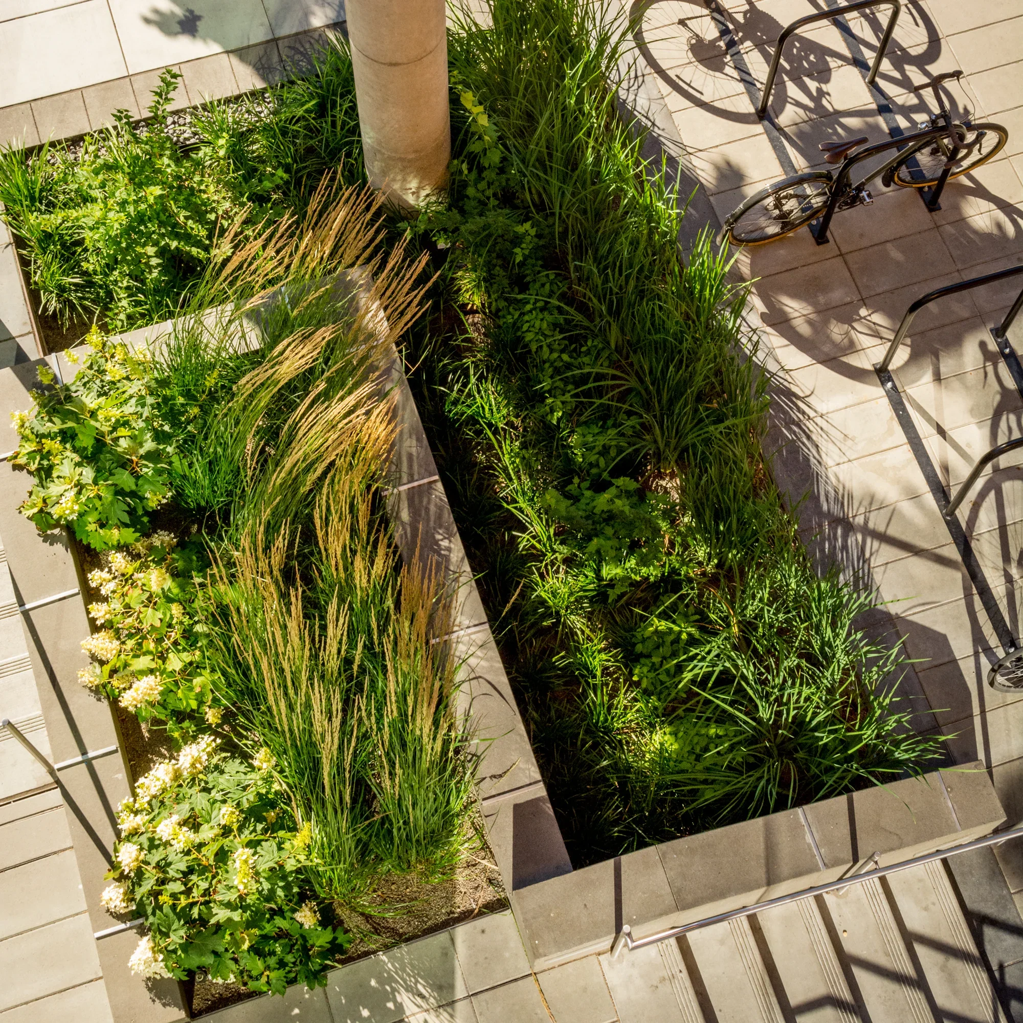 PSU Karl Miller Center_24.webp