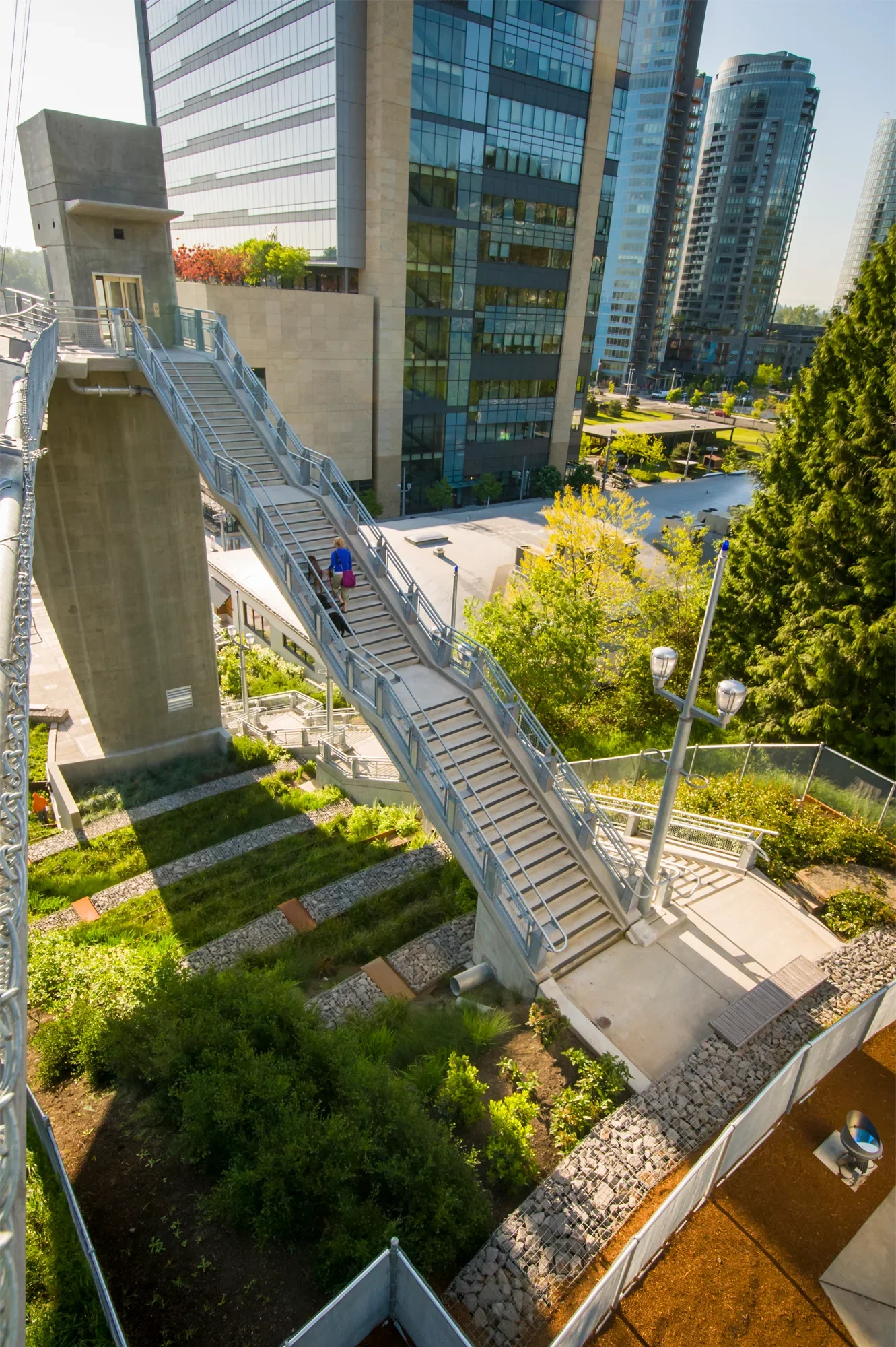 Darlene Hooley Ped Bridge Pro_03.webp