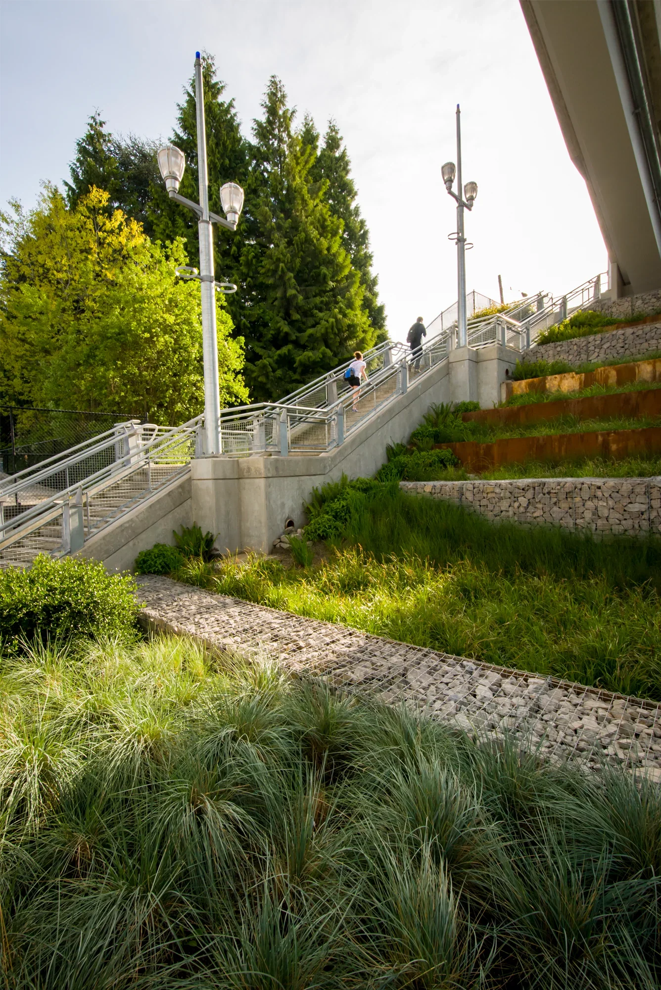 Darlene Hooley Ped Bridge Pro_01.webp