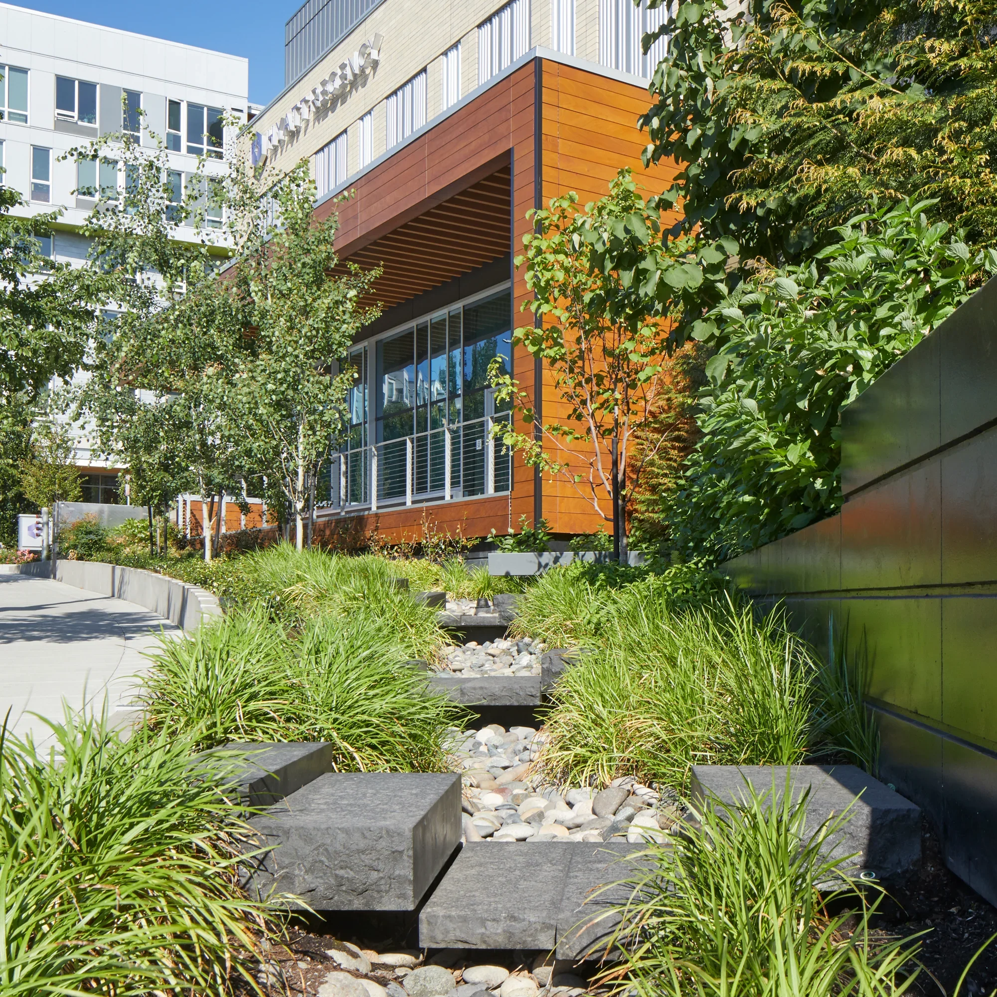 Hyatt Regency - Rain Garden_03.webp