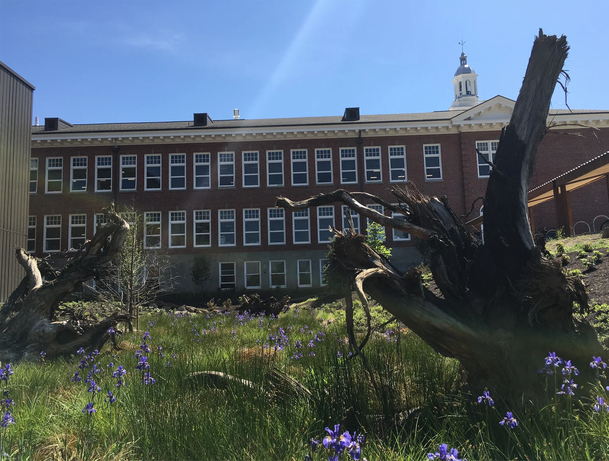 Roosevelt Swale.webp