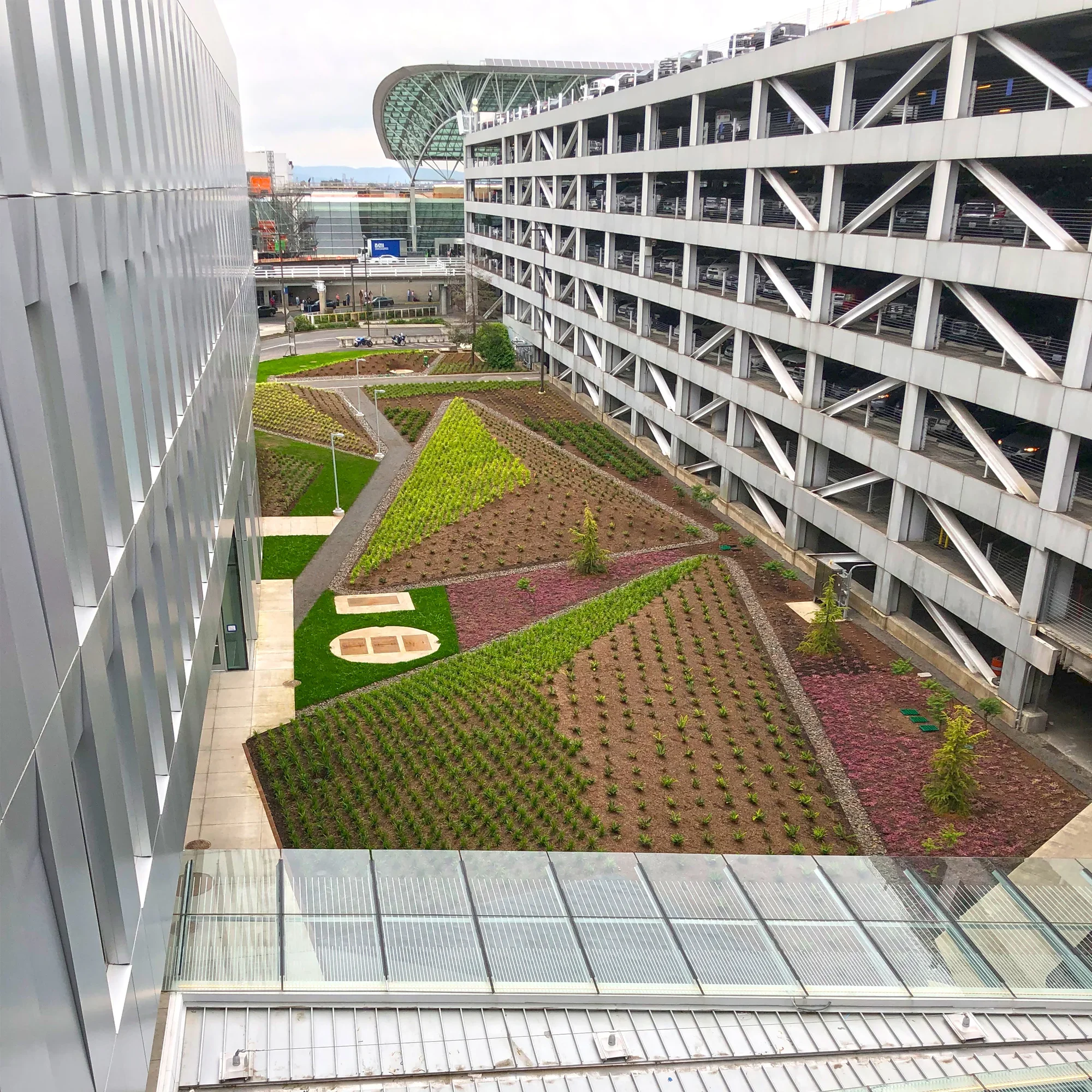 PDX PACR Planting_01.webp