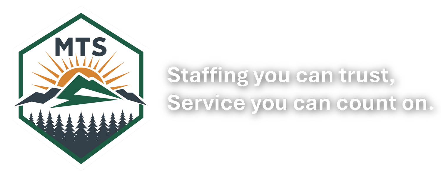 Mountain Temp Services