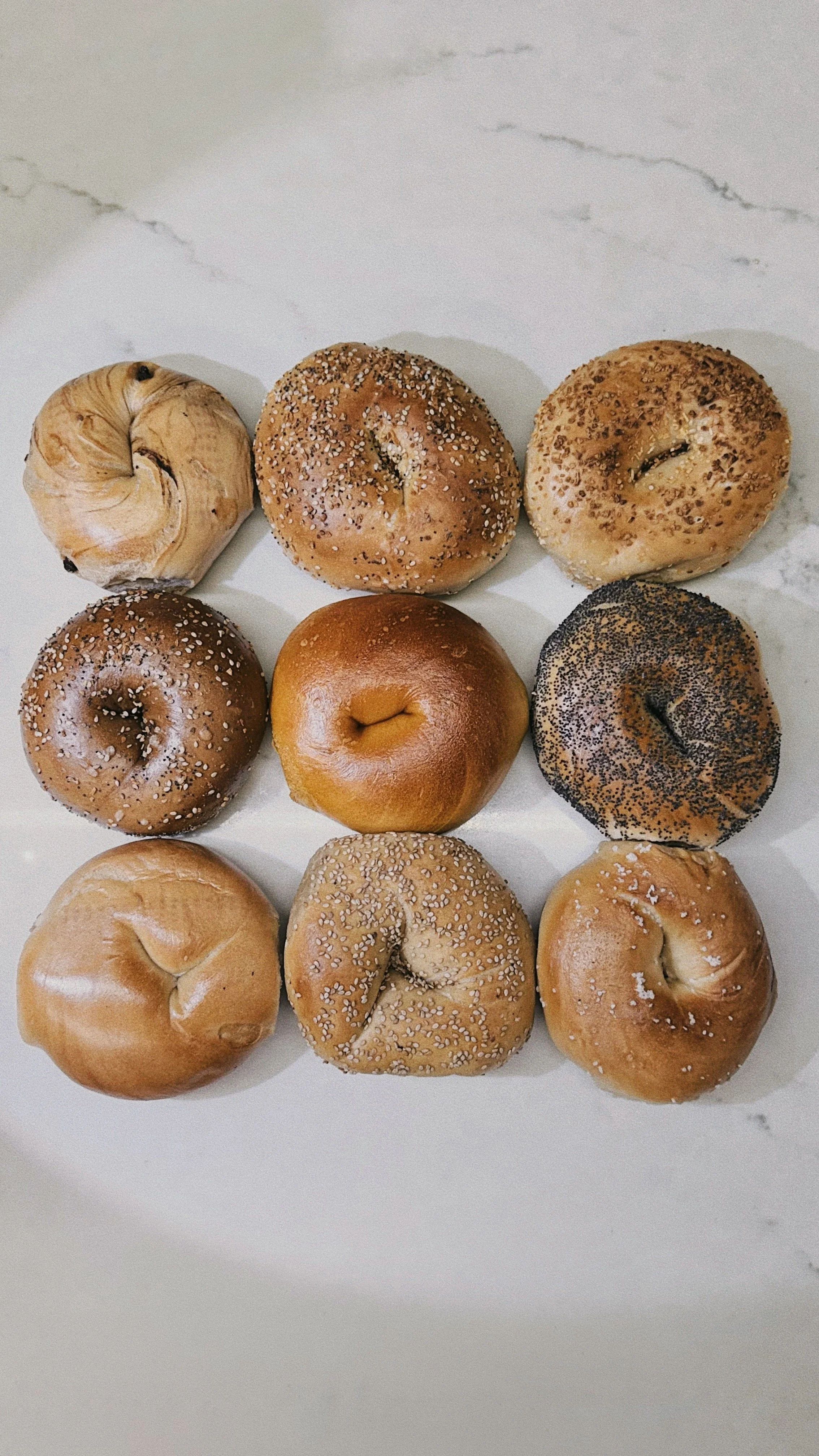 Group of Classic Bagels - Plain, Cinnamon Raisin, Everything, Sesame, Poppyseed, Garlic, Onion and More