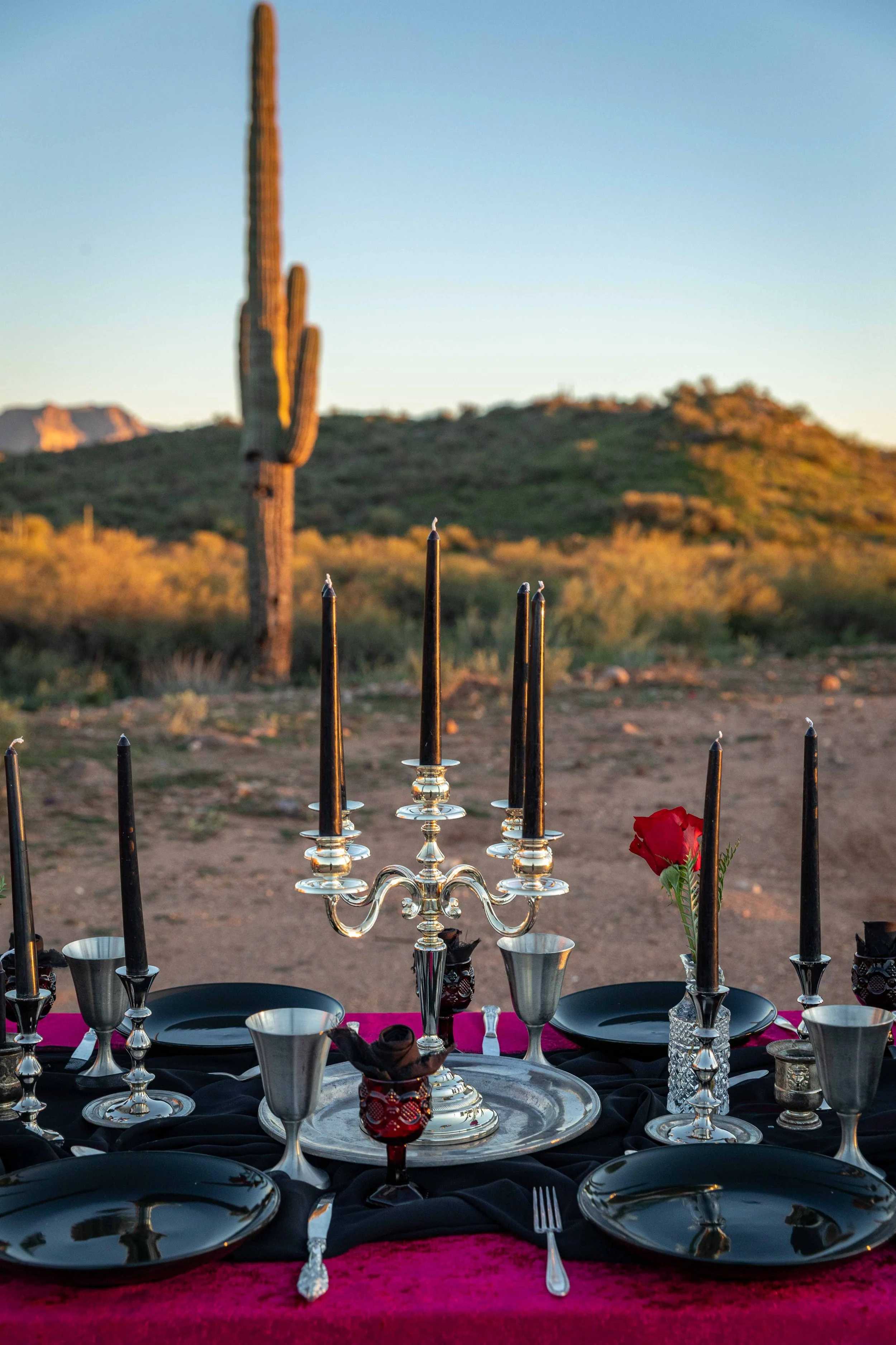 Outdoor dining table decorated with black plates, silver goblets, black candles in candelabra, a red rose, and a pink tablecloth against desert landscape with a saguaro cactus at sunset. Gothic wedding table scape with velvet and moody textures.