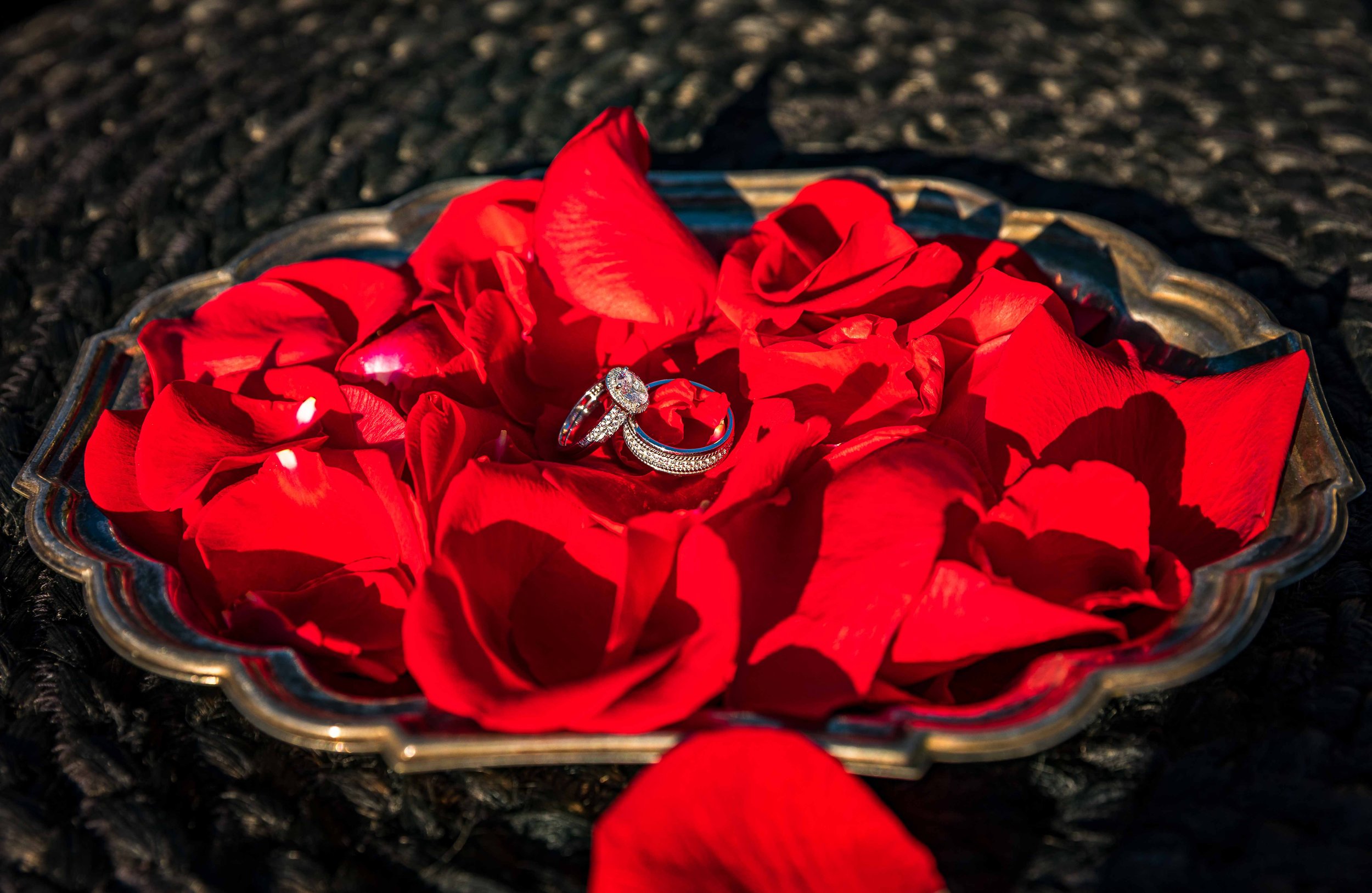 Silver rings with diamonds resting on red rose petals in a silver tray.