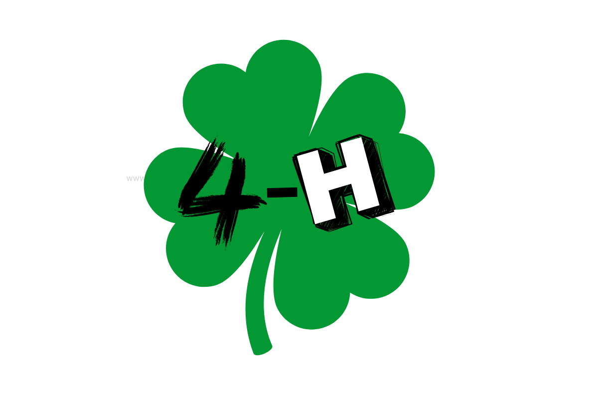 4-H and the Barn Community: Learning, Helping &amp; Growing Together