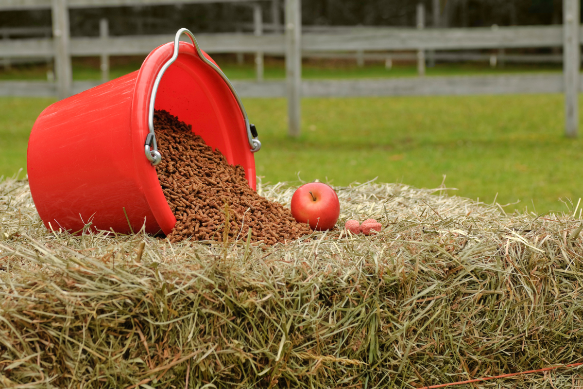 Bran Mash Pros &amp; Cons: What the Vet Really Says