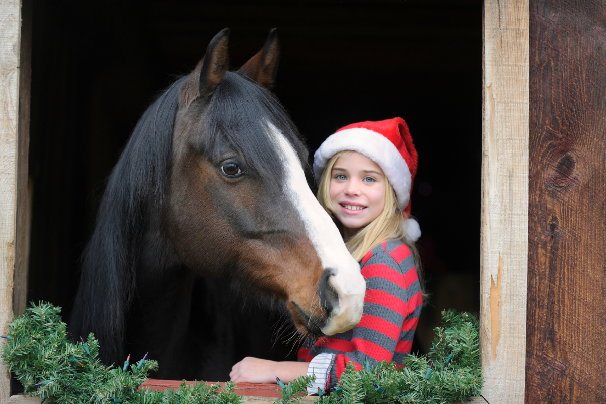 The 12 Days of Barn Rats: Your Holiday Horse Advent Calendar!&nbsp;&nbsp;