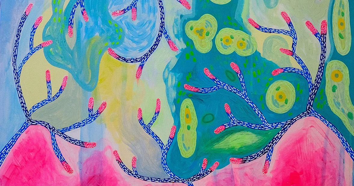 Creativity is Not Chaos