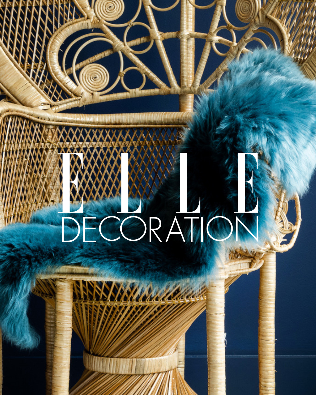 Elle (1).png