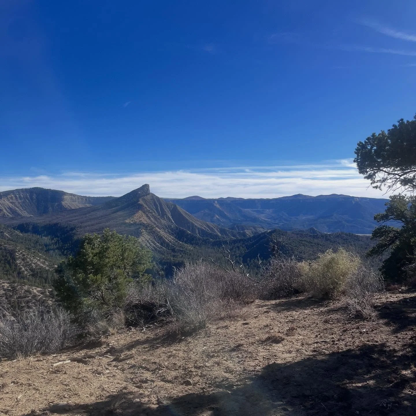 So grateful for this experience to hide in the farthest reaches of our wilderness this weekend at &ldquo;hunting camp&rdquo; while my husband got lessons in hunting from the experts. :)