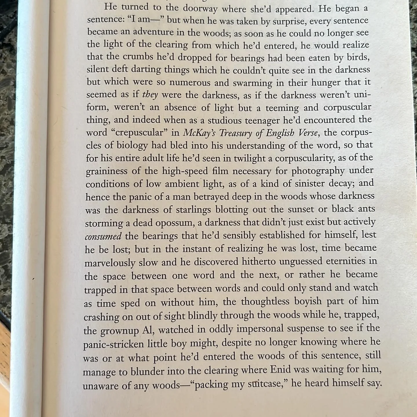 From &ldquo;The Corrections&rdquo; by @jonathanfranzenofficial