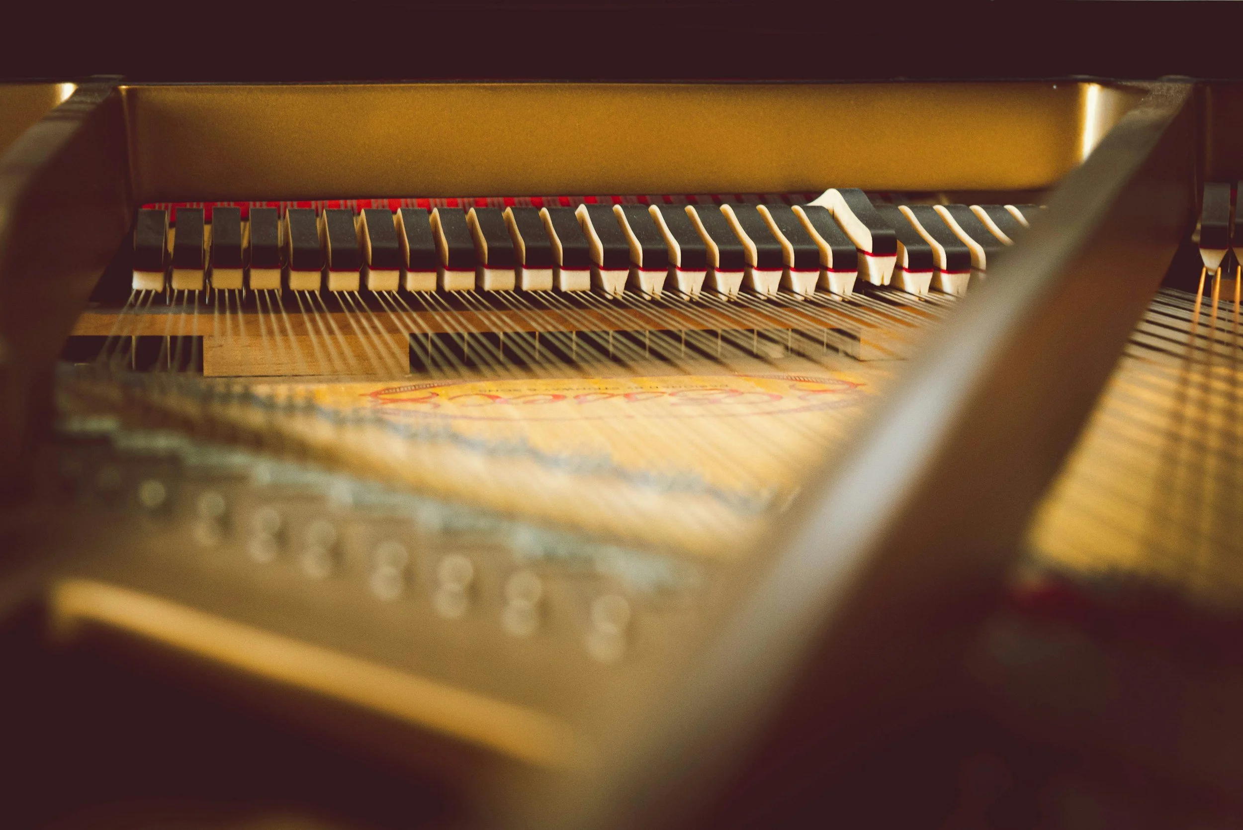 Interior view of a grand piano showing strings and action components during professional piano regulation and repair.
