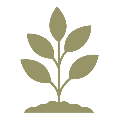 An icon of a plant sprouting from soil