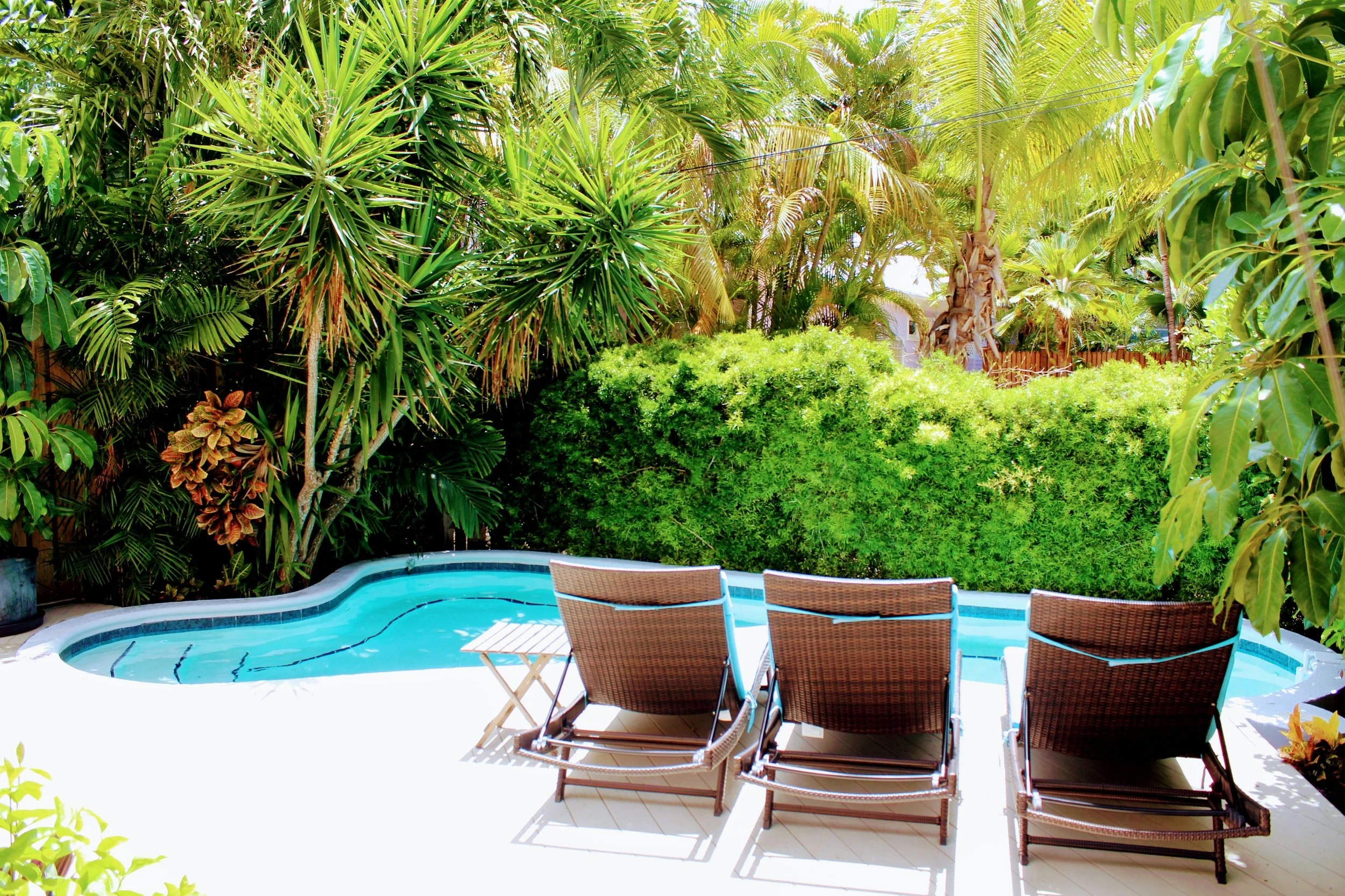 Island Oasis Vacation Book Scenic.jpg