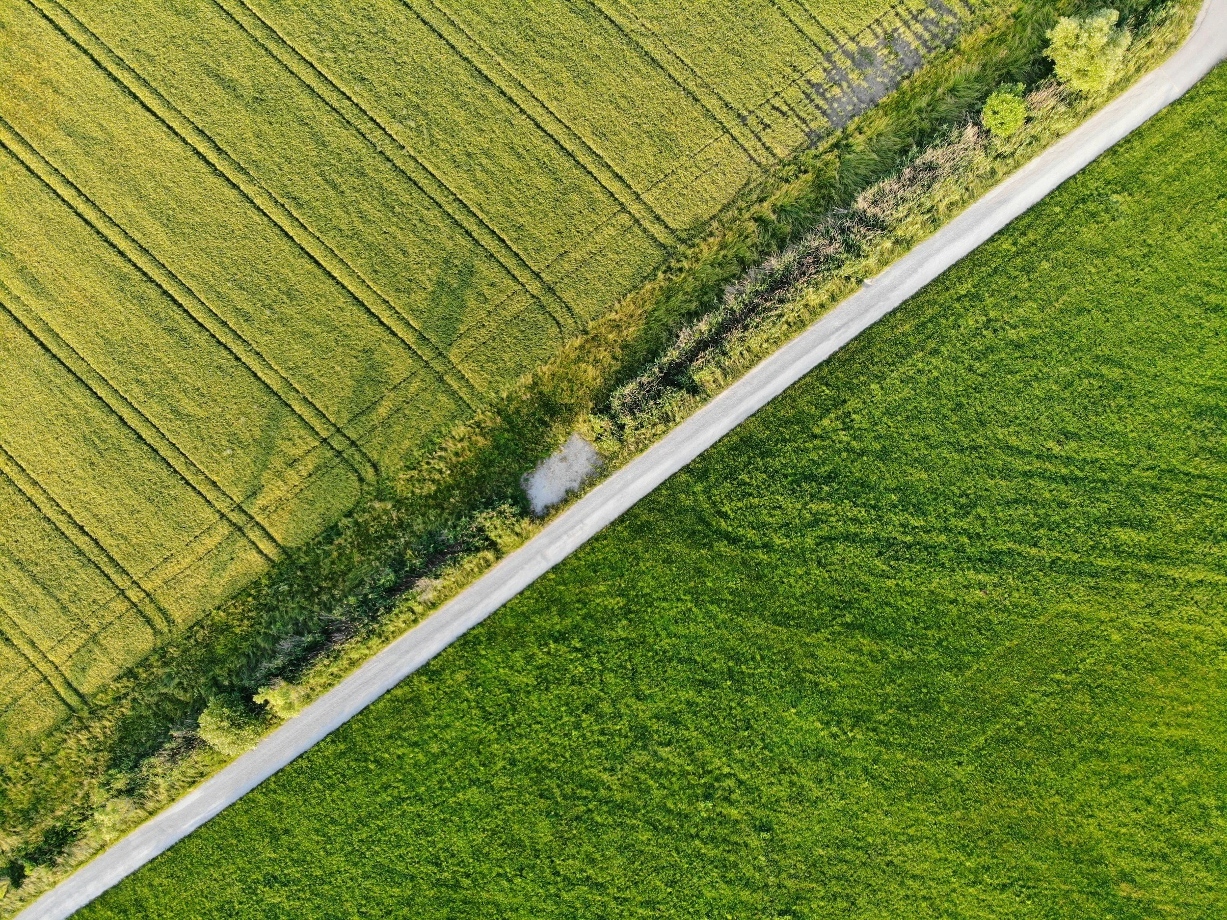 Aerial view of a rural landscape with a straight road running through green fields and patches of trees.