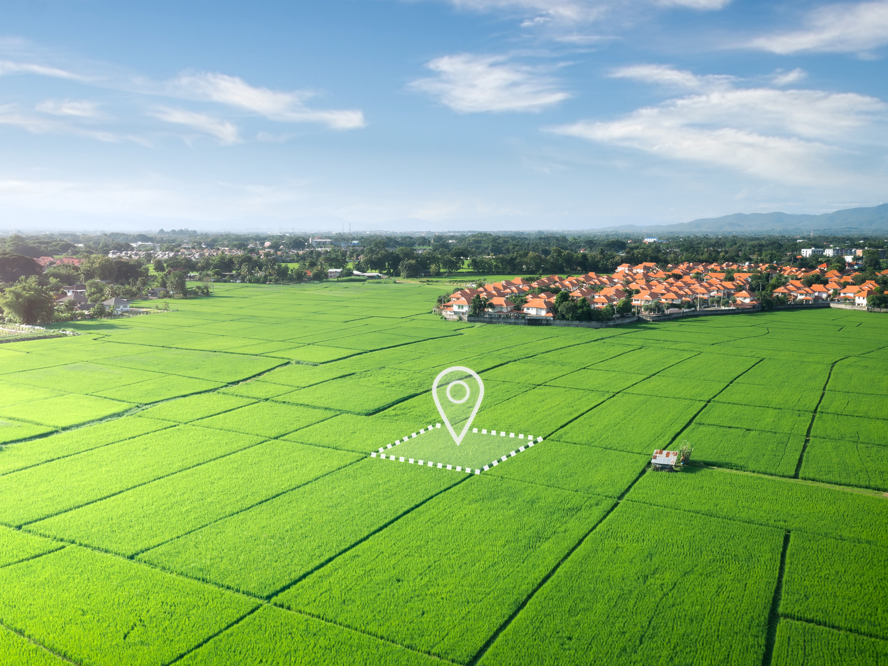 A vast green rice field with neatly divided plots, a small farm structure, a row of houses with orange roofs, and a partly cloudy sky in the distance.