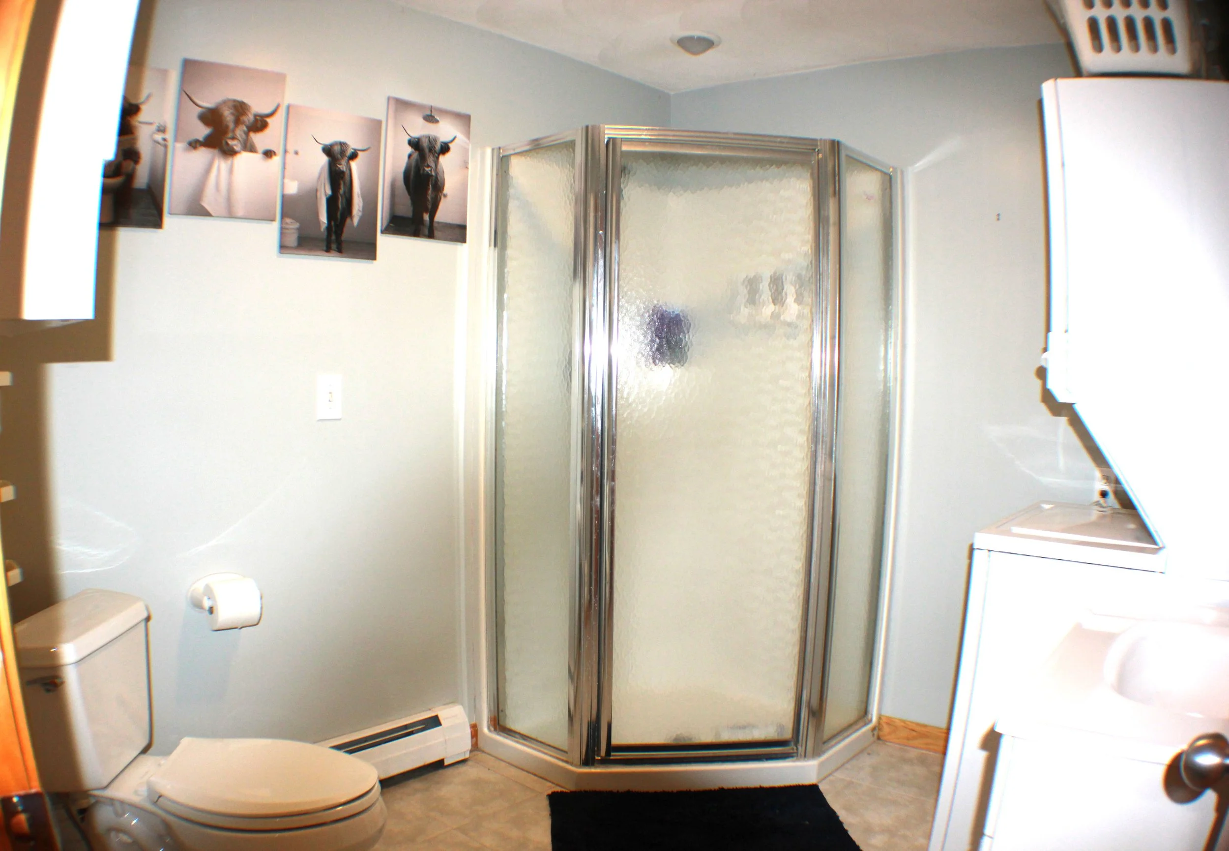 Basement Bathroom