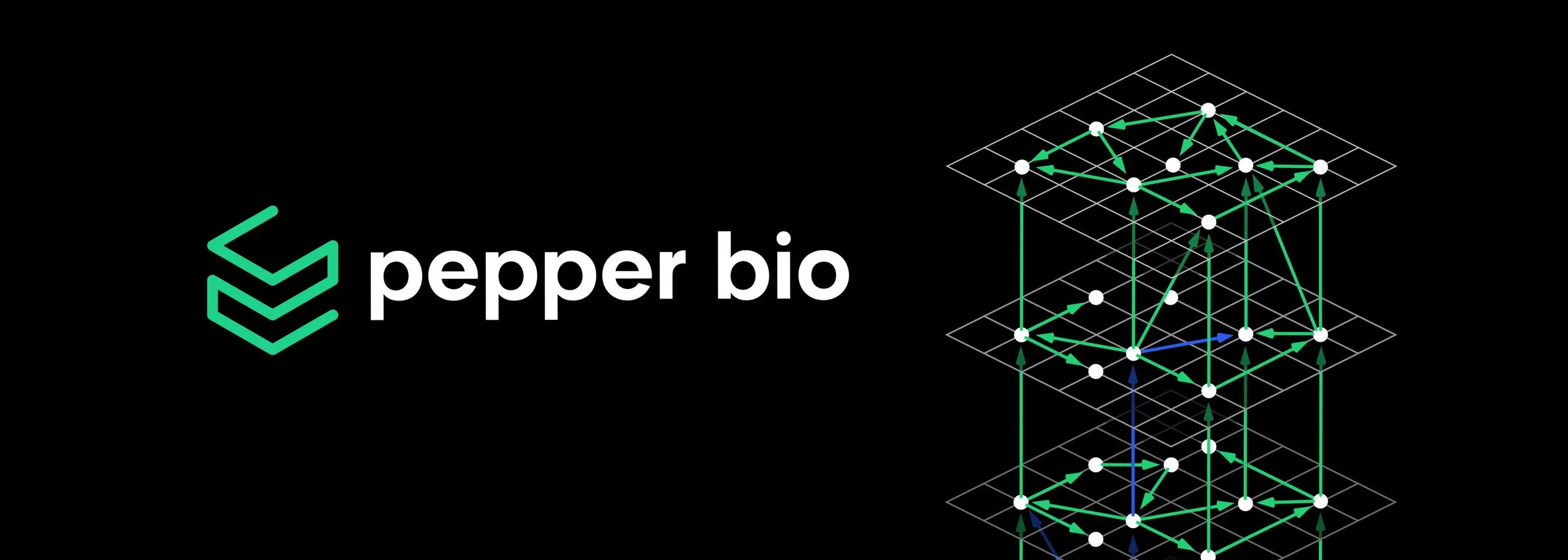 Launching a bold R&D company in a sea of overpromising tech brands