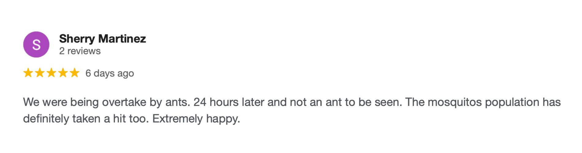 Greenlogic Pest Control Google Review 8.png