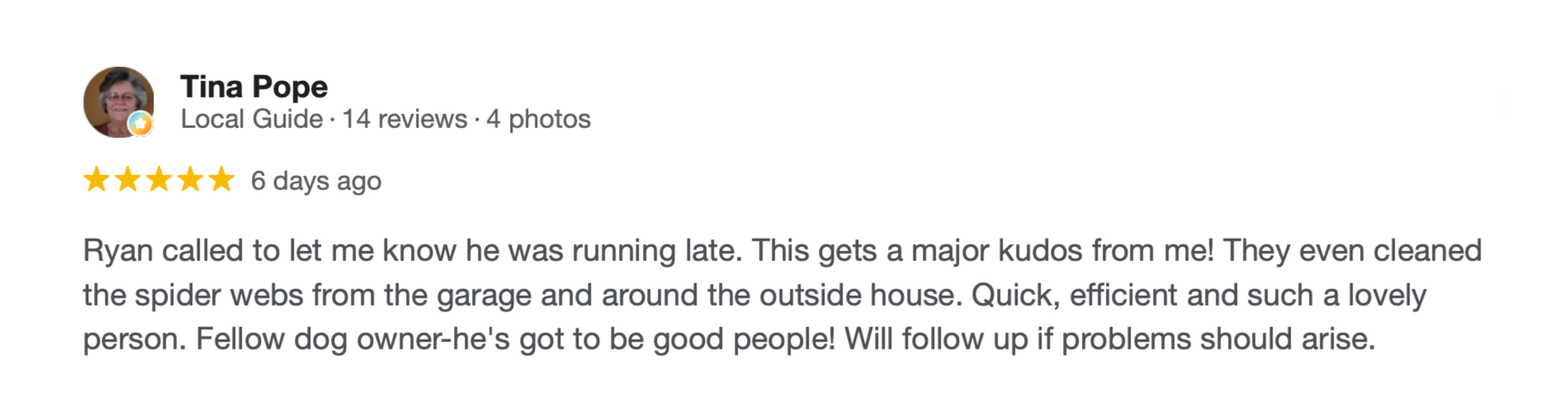 Greenlogic Pest Control Google Review 6.png