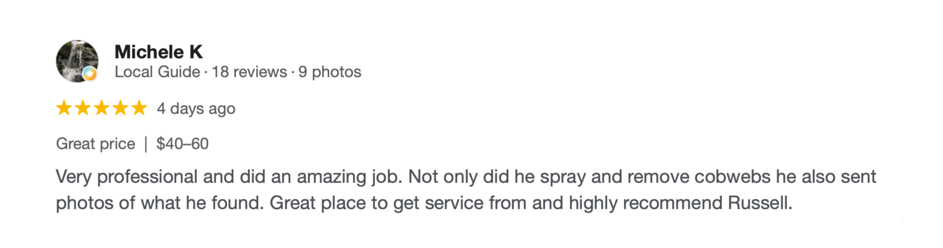 Greenlogic Pest Control Google Review 1.png