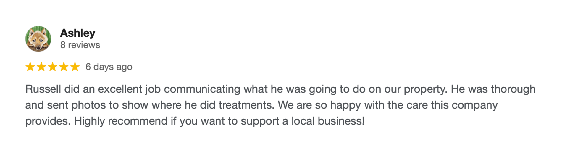 Greenlogic Pest Control Google Review 9.png