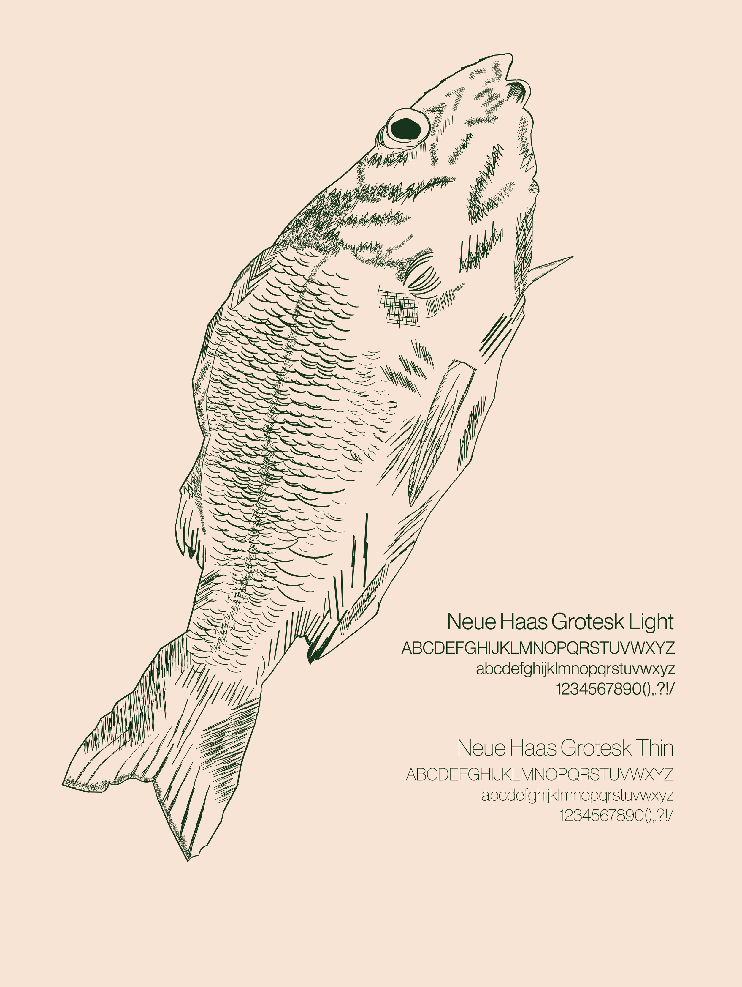 Zootypia [Recovered].png