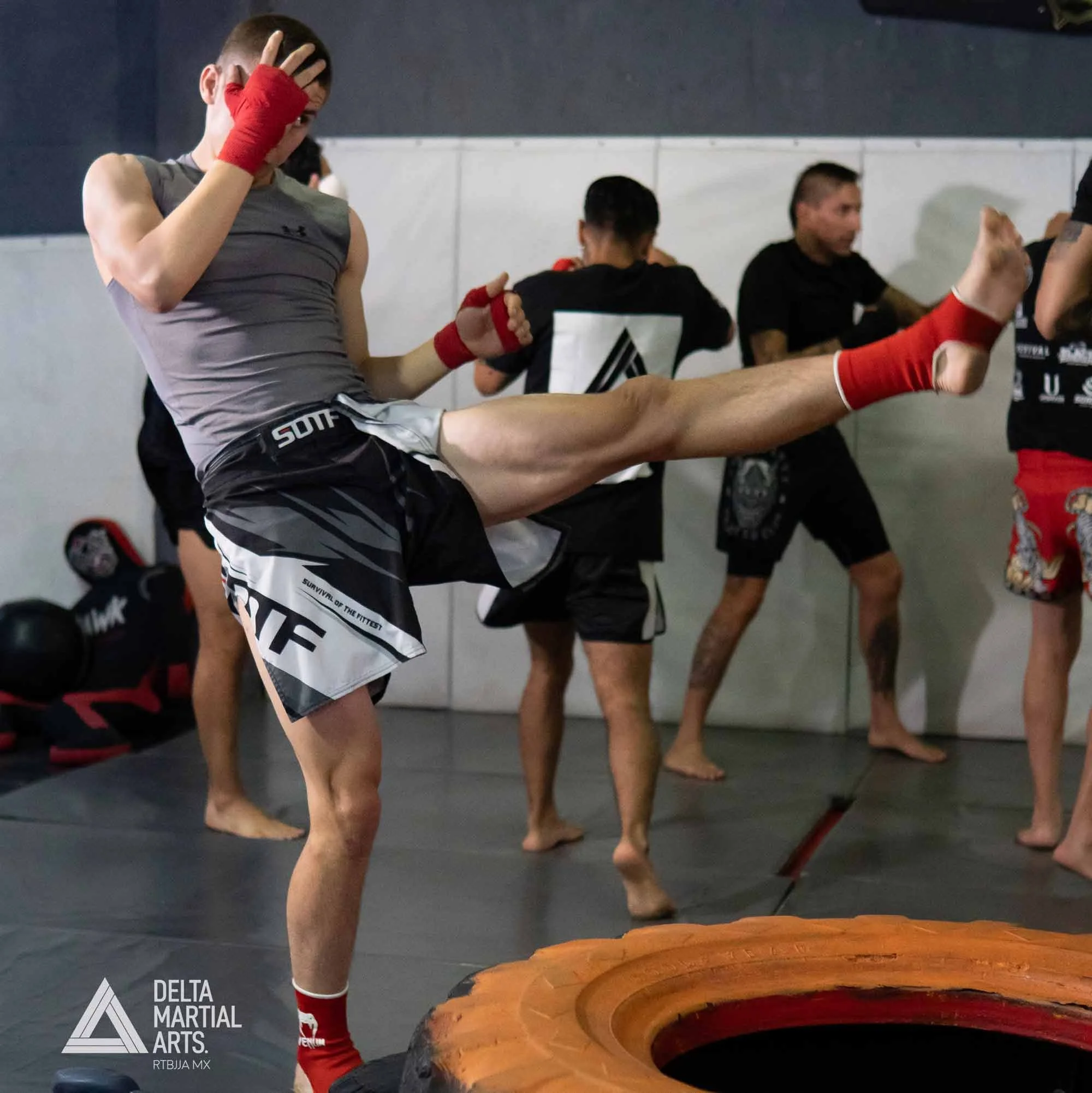 delta-martial-arts-seminarios-250221-00004.jpg