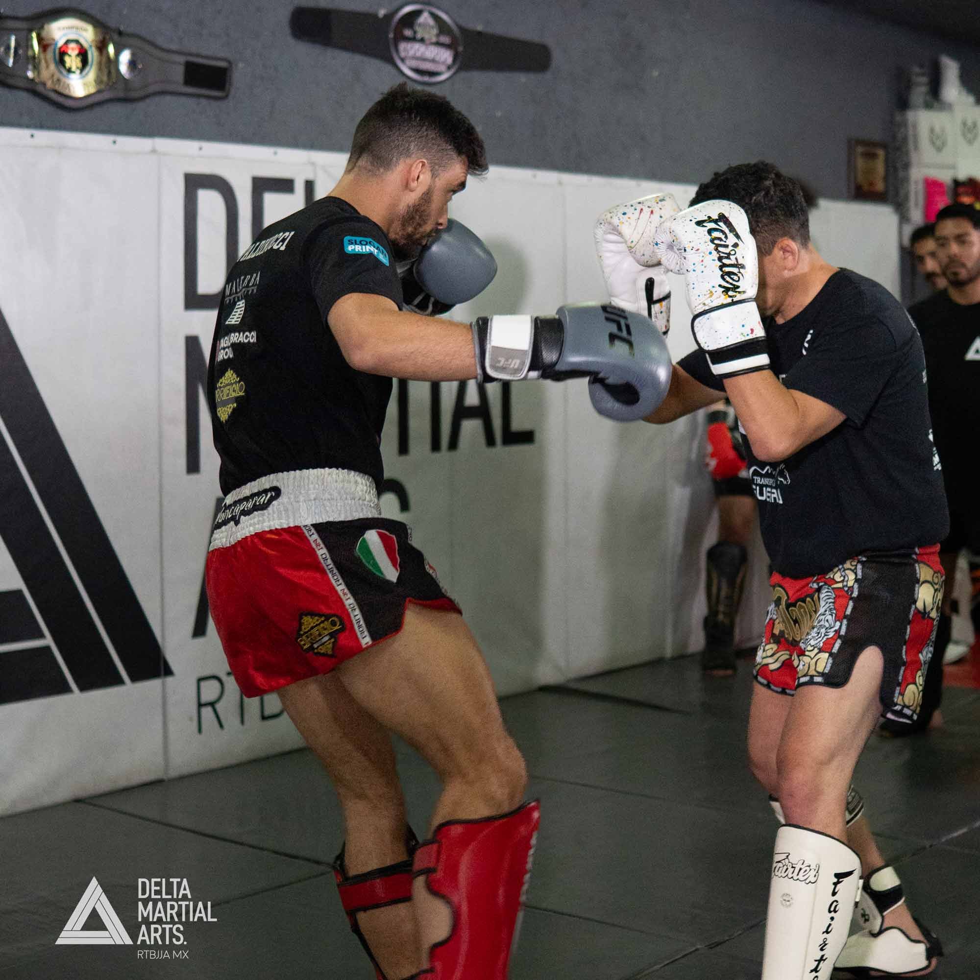 delta-martial-arts-seminarios-250221-00005.jpg